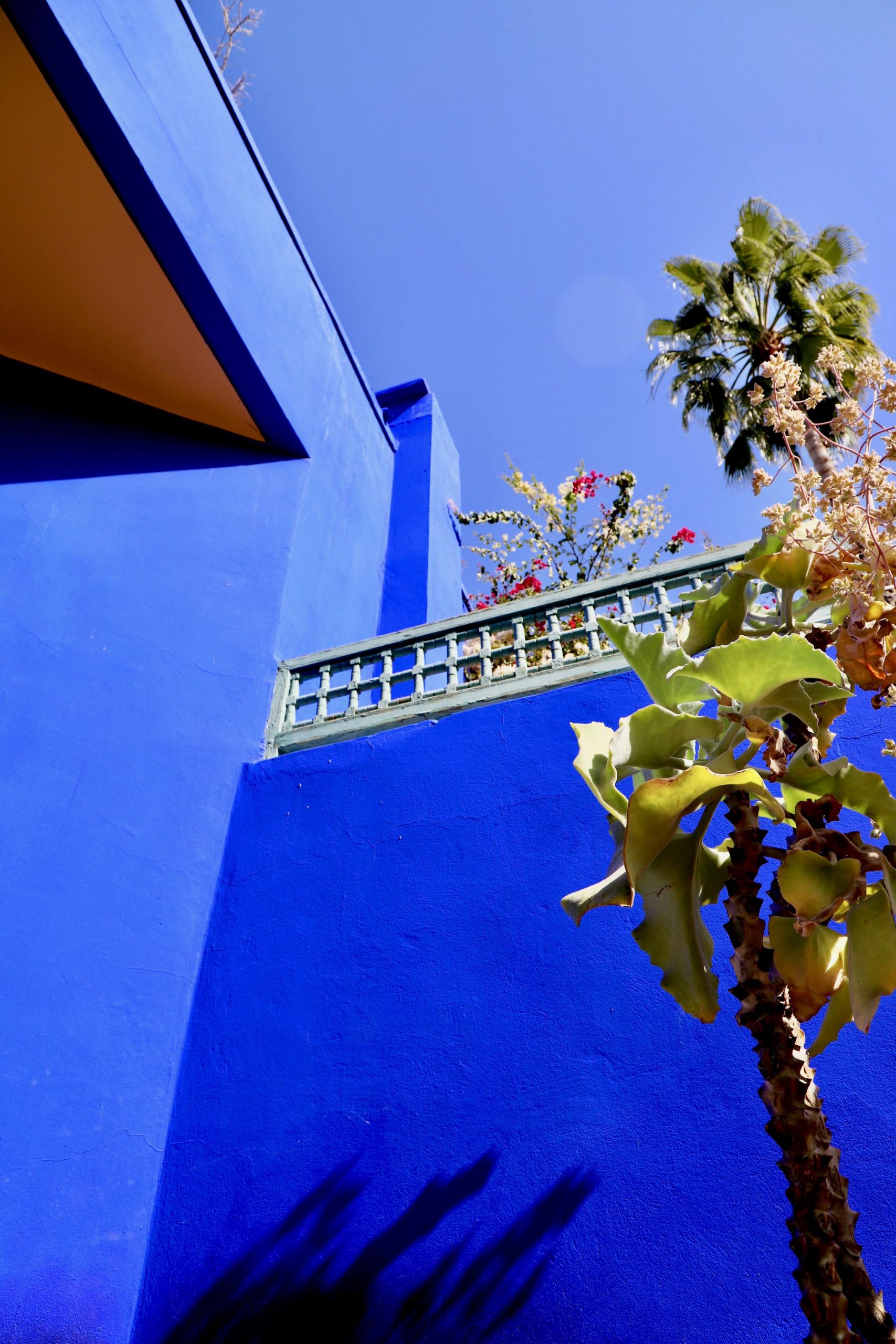 Majorelle Garden 