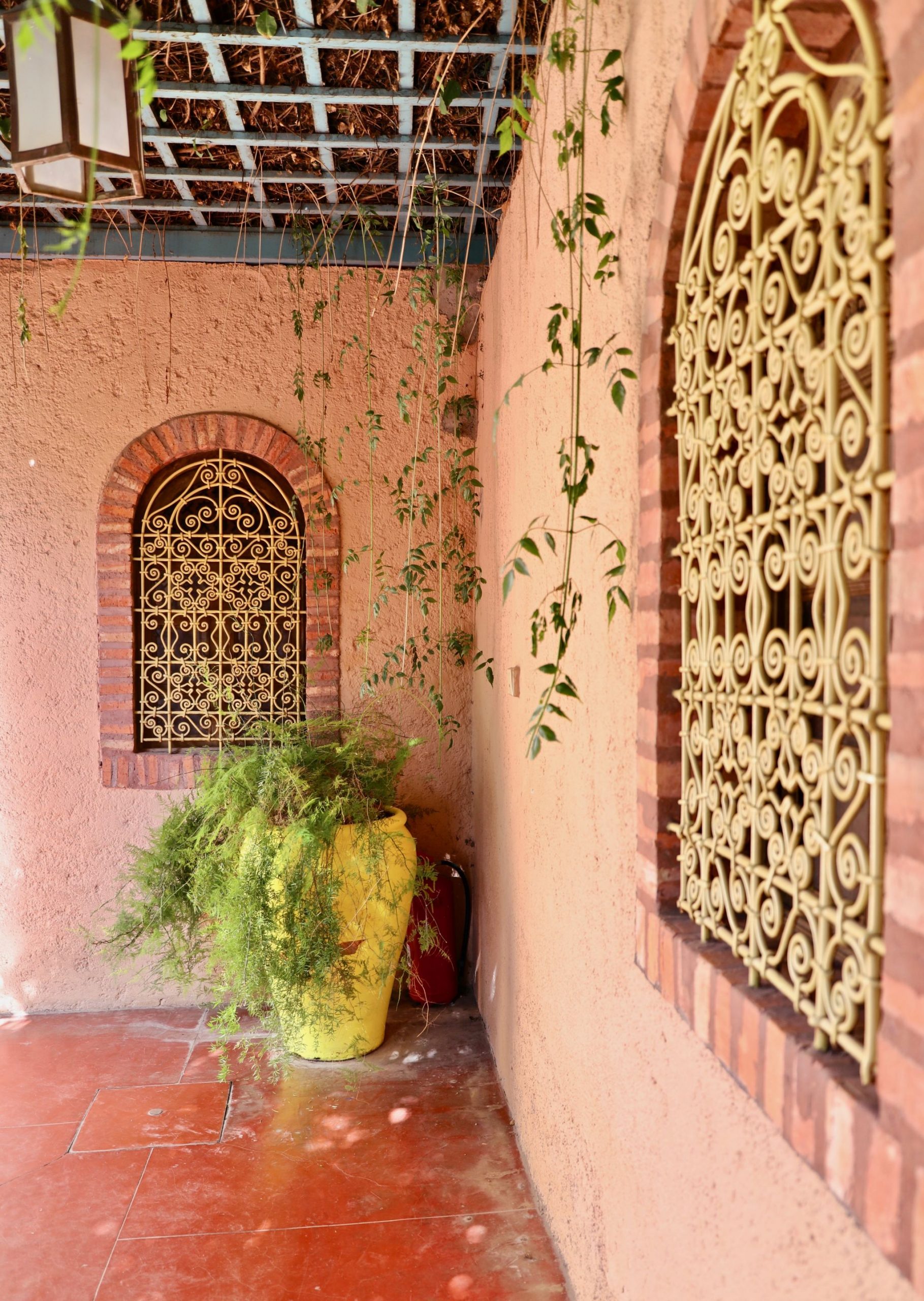 Majorelle garden