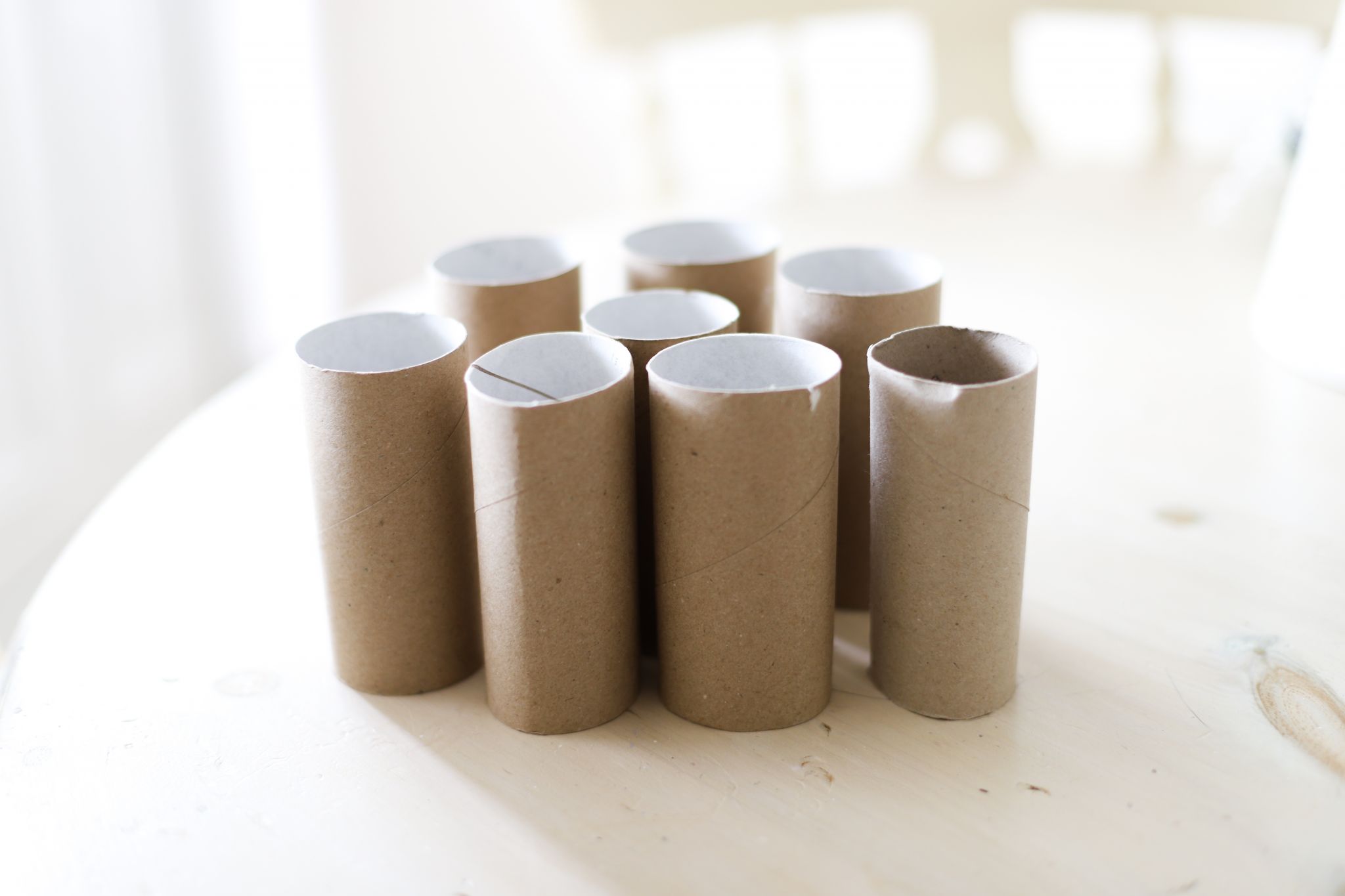 Recycled Toilet Roll Craft Ideas