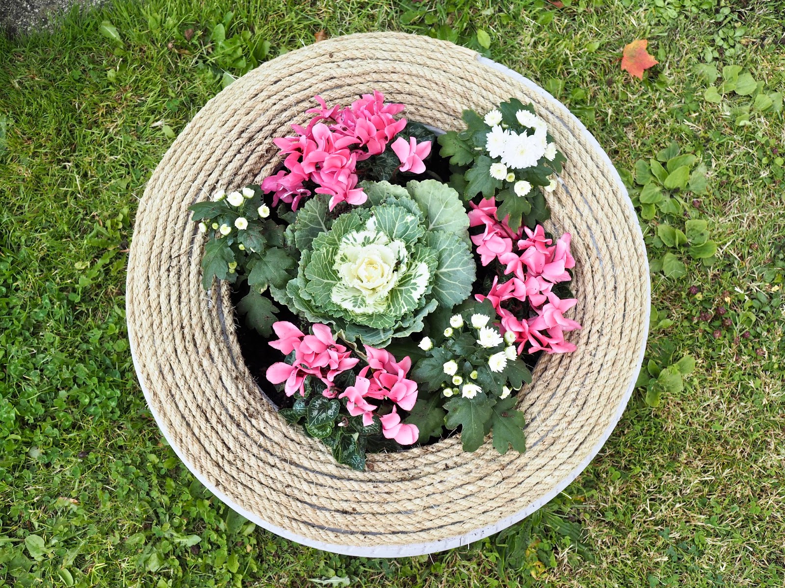 DIY tyre planter