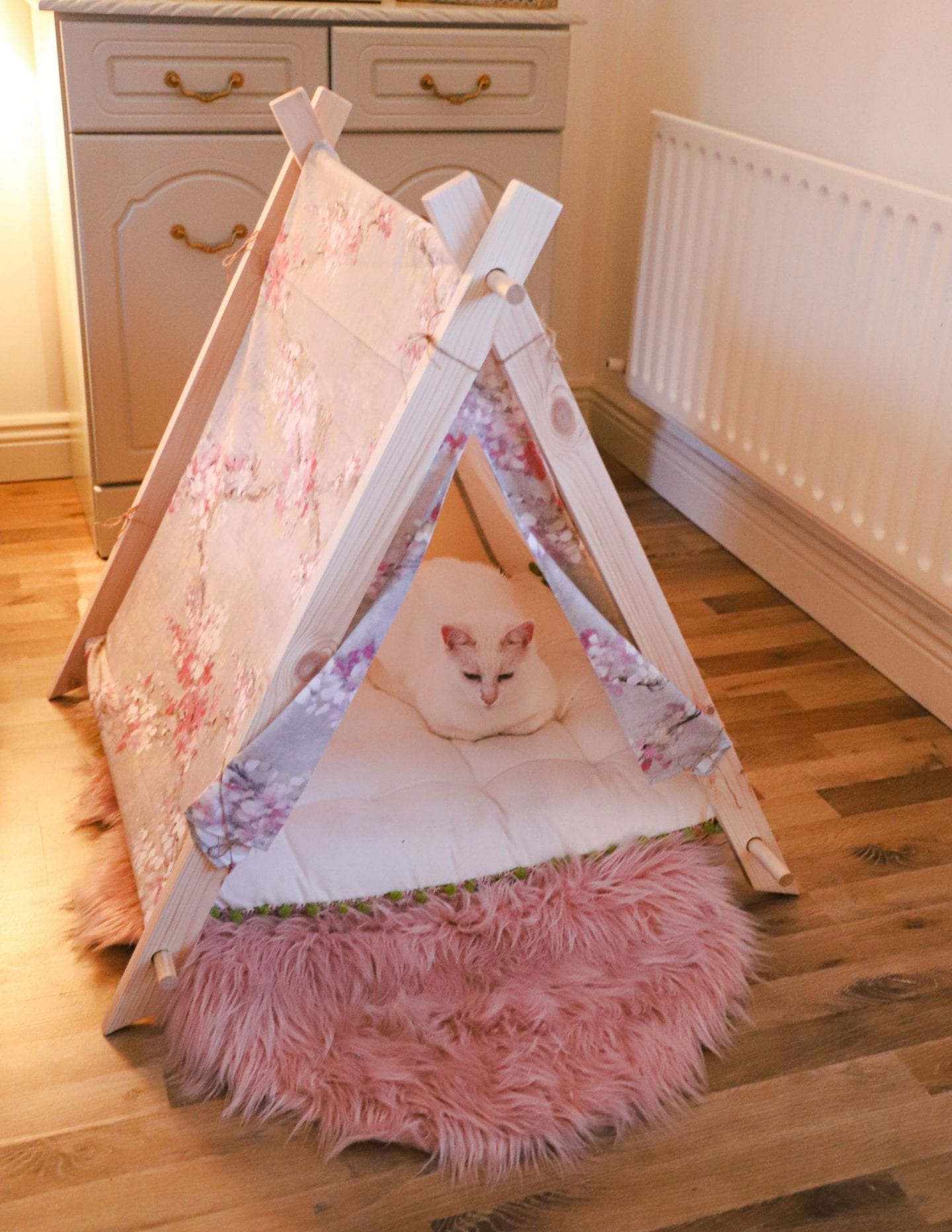 Pet DIY's, How to sew a cat collar and pet tent
