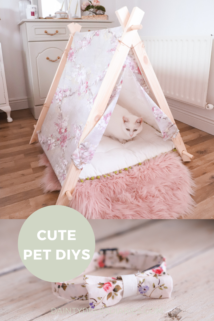 Cute pet DIYs