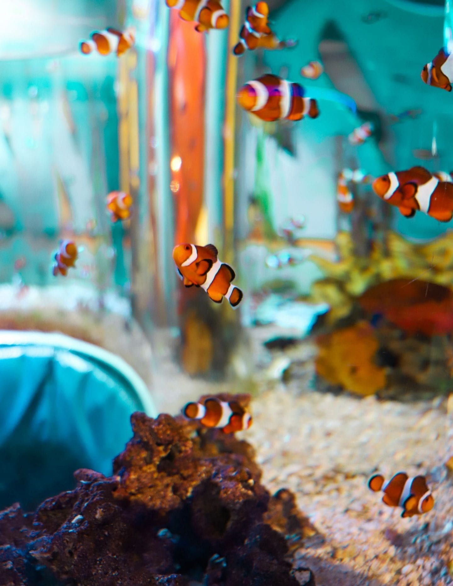 Toronto aquarium