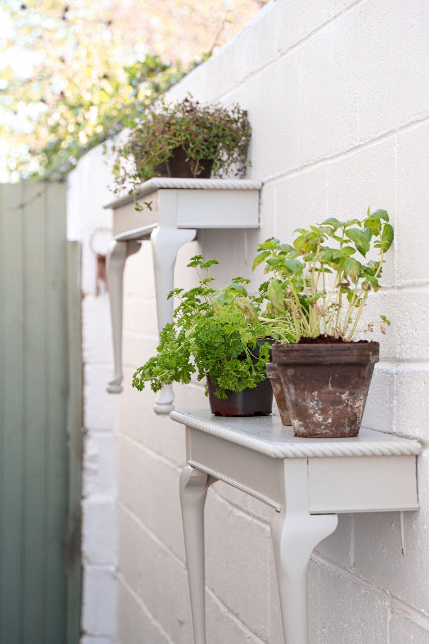 How to make the most of your garden during lockdown