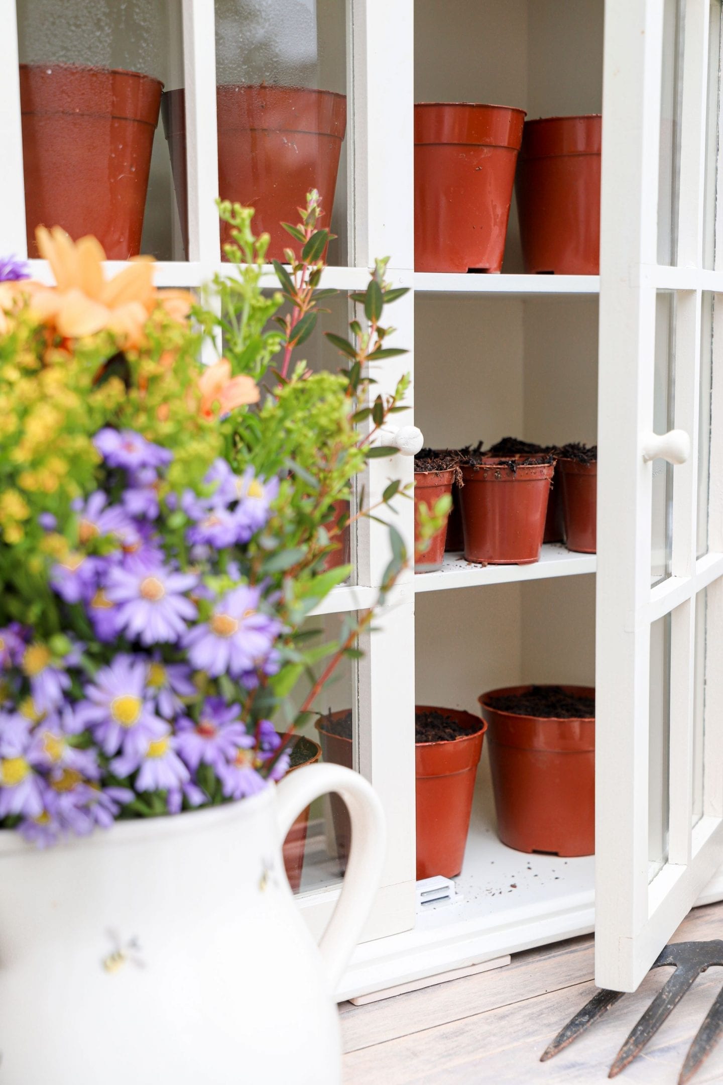 Mini Cabinet Greenhouse