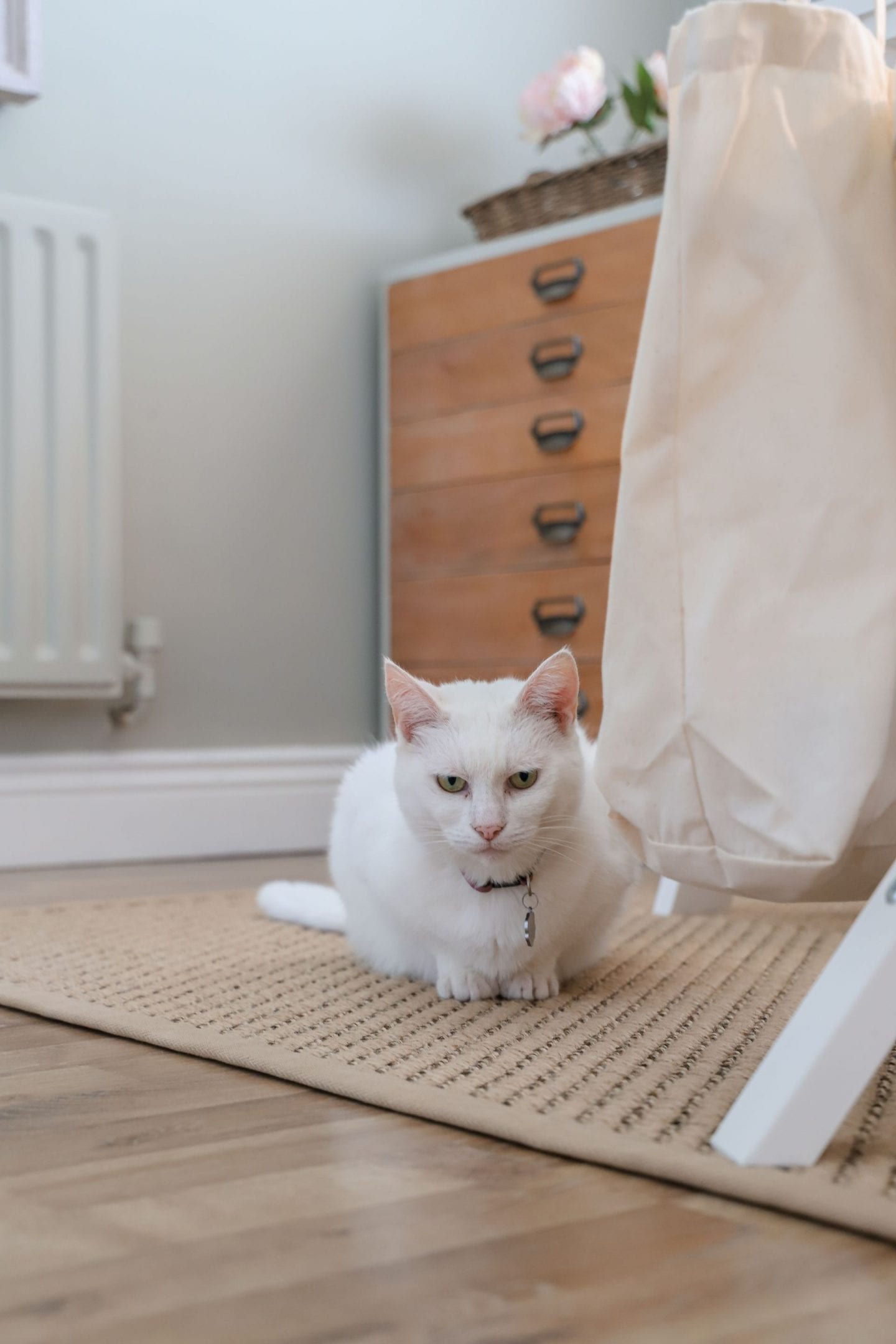 Ikea Rug