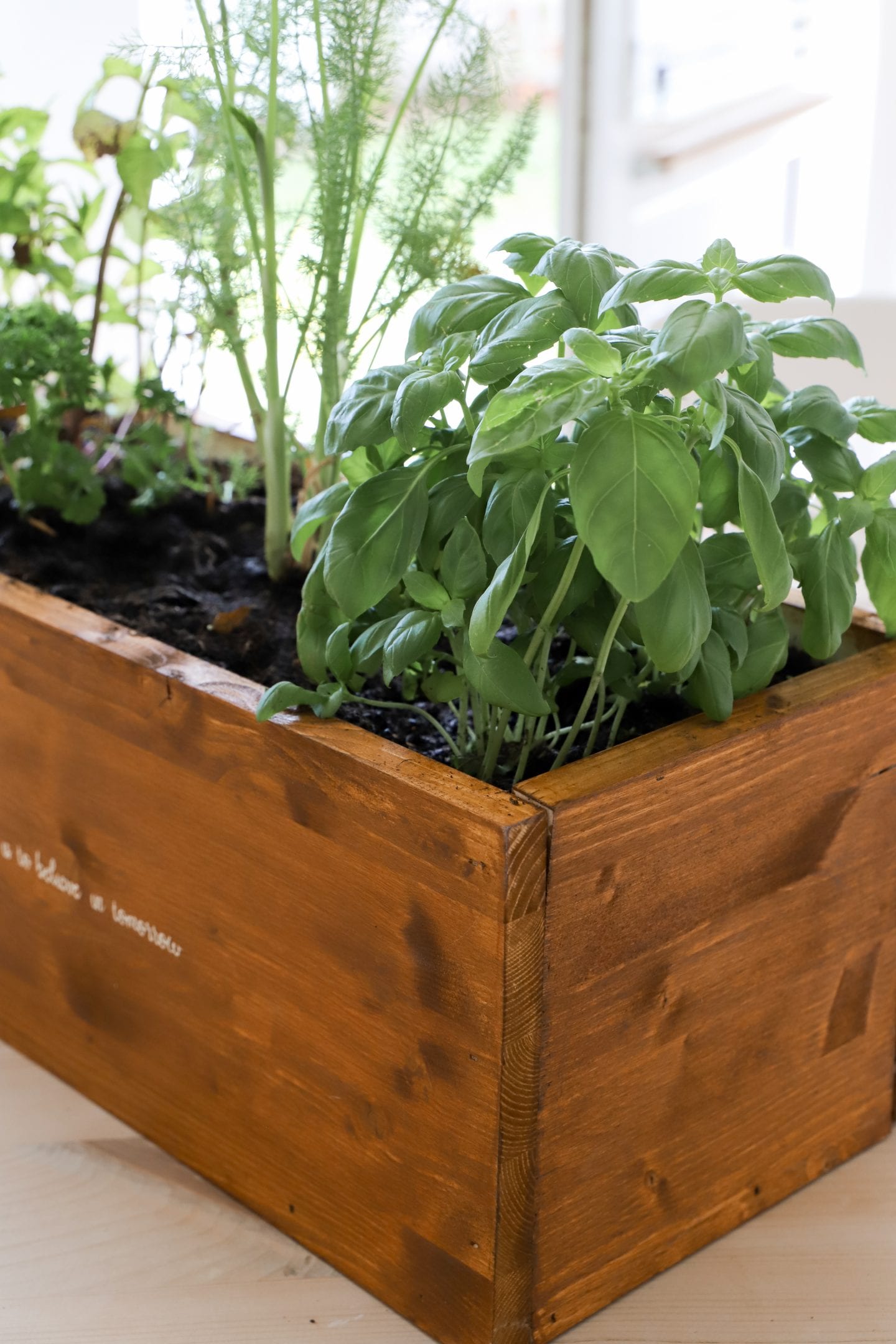 Peat free compost