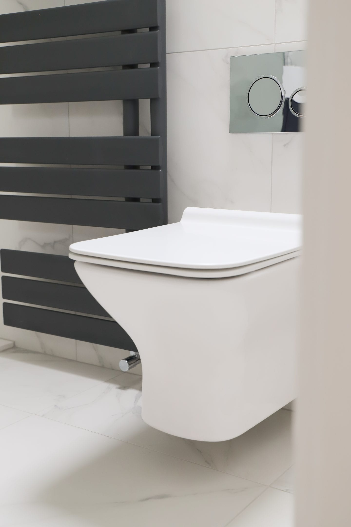 Sonas rimless toilet.