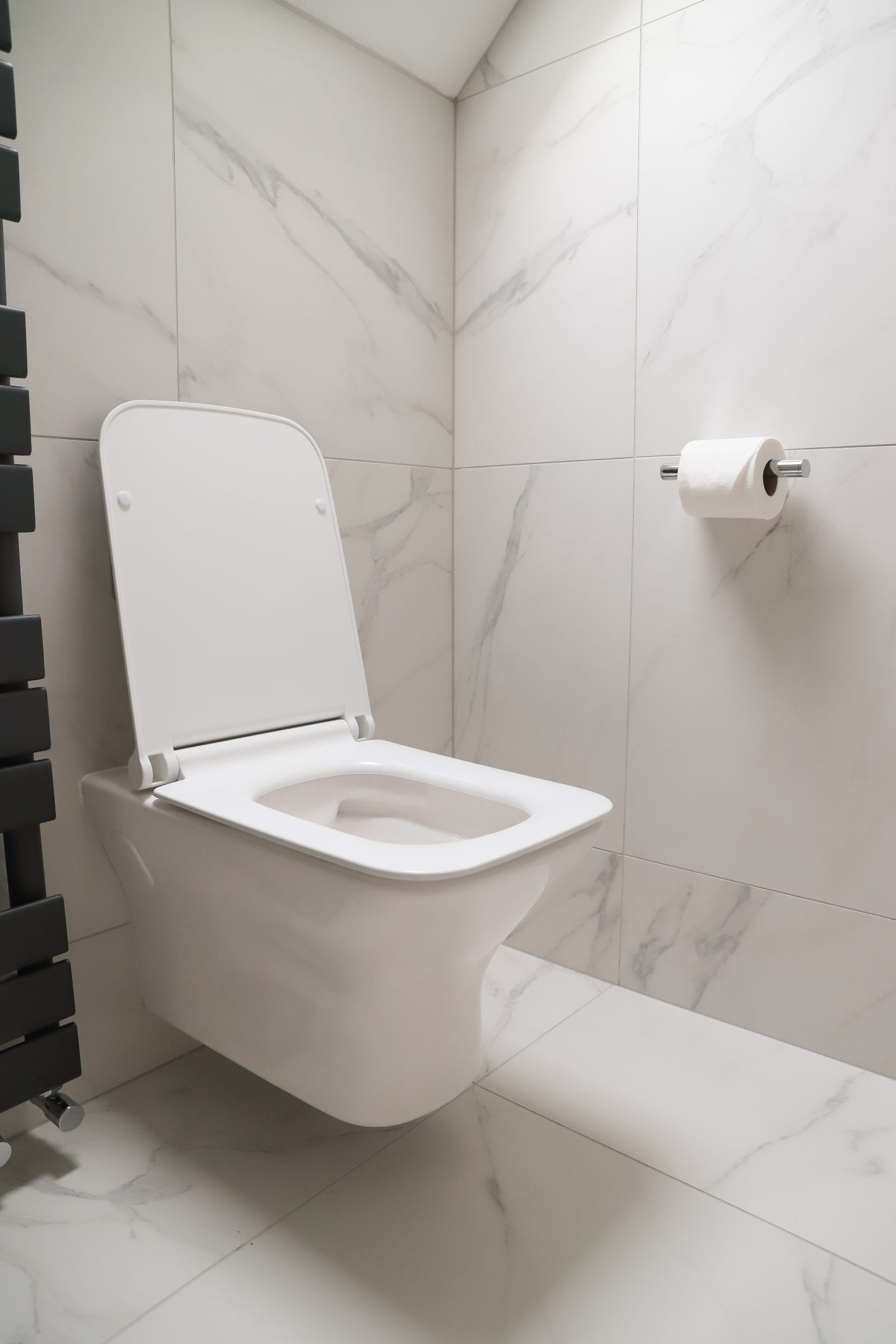 Sonas Rimless Toilet