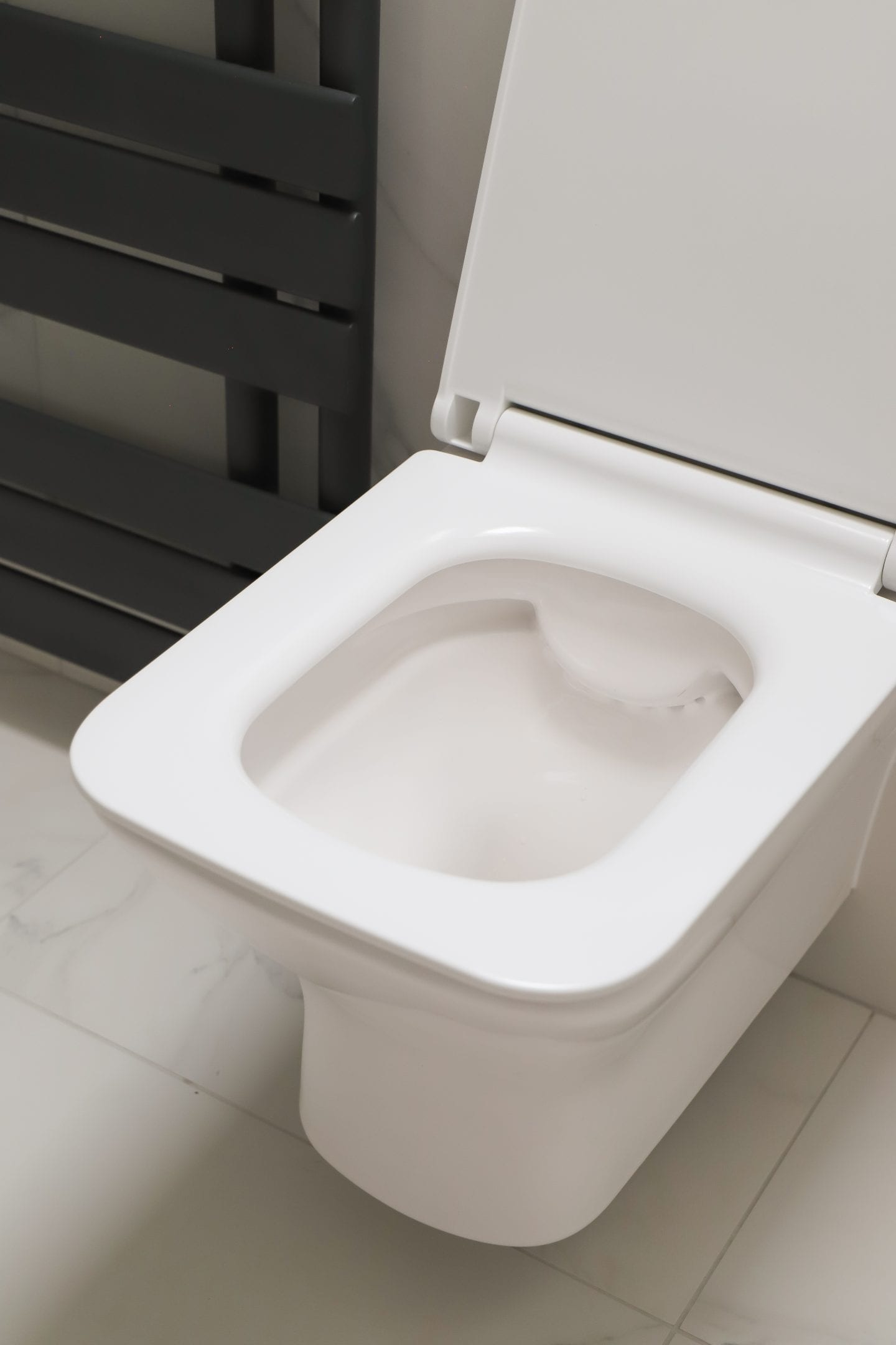 Sonas rimless toilet.