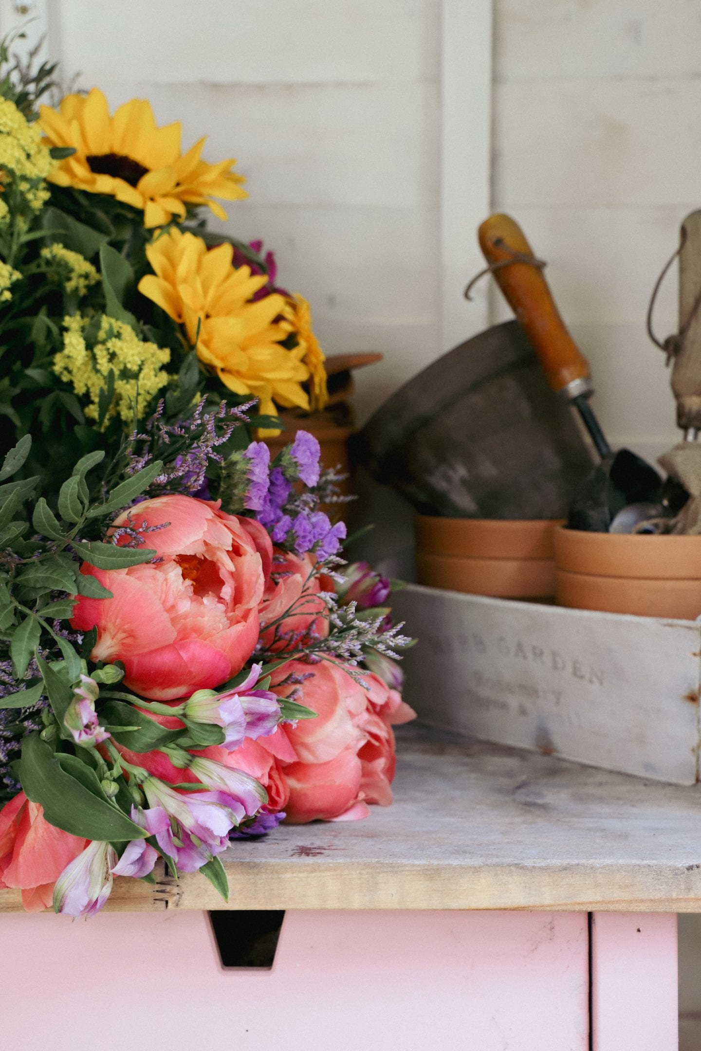 Peony flowers in potting shed.