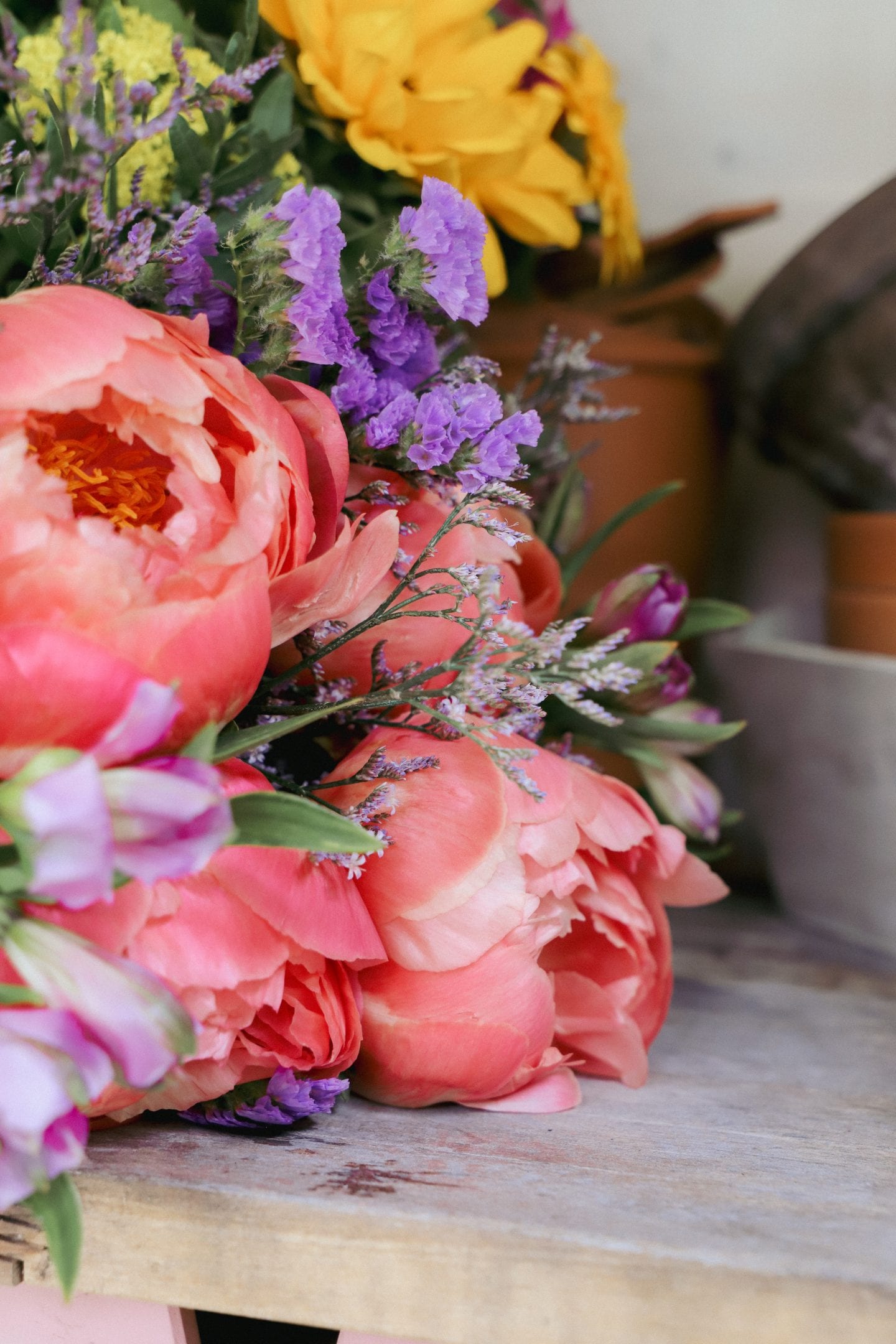 Peony flowers in potting shed.