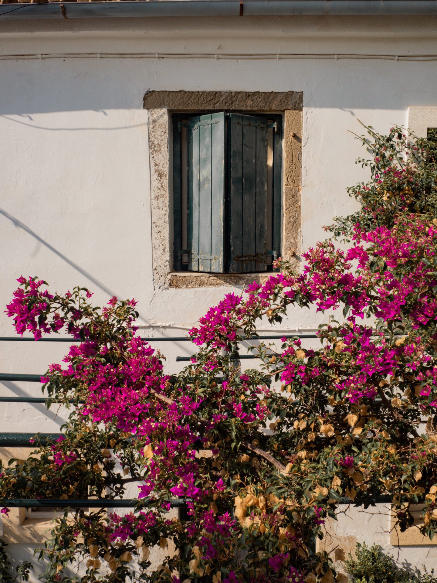 Solo travel on Greek island. White and pink garden. 
