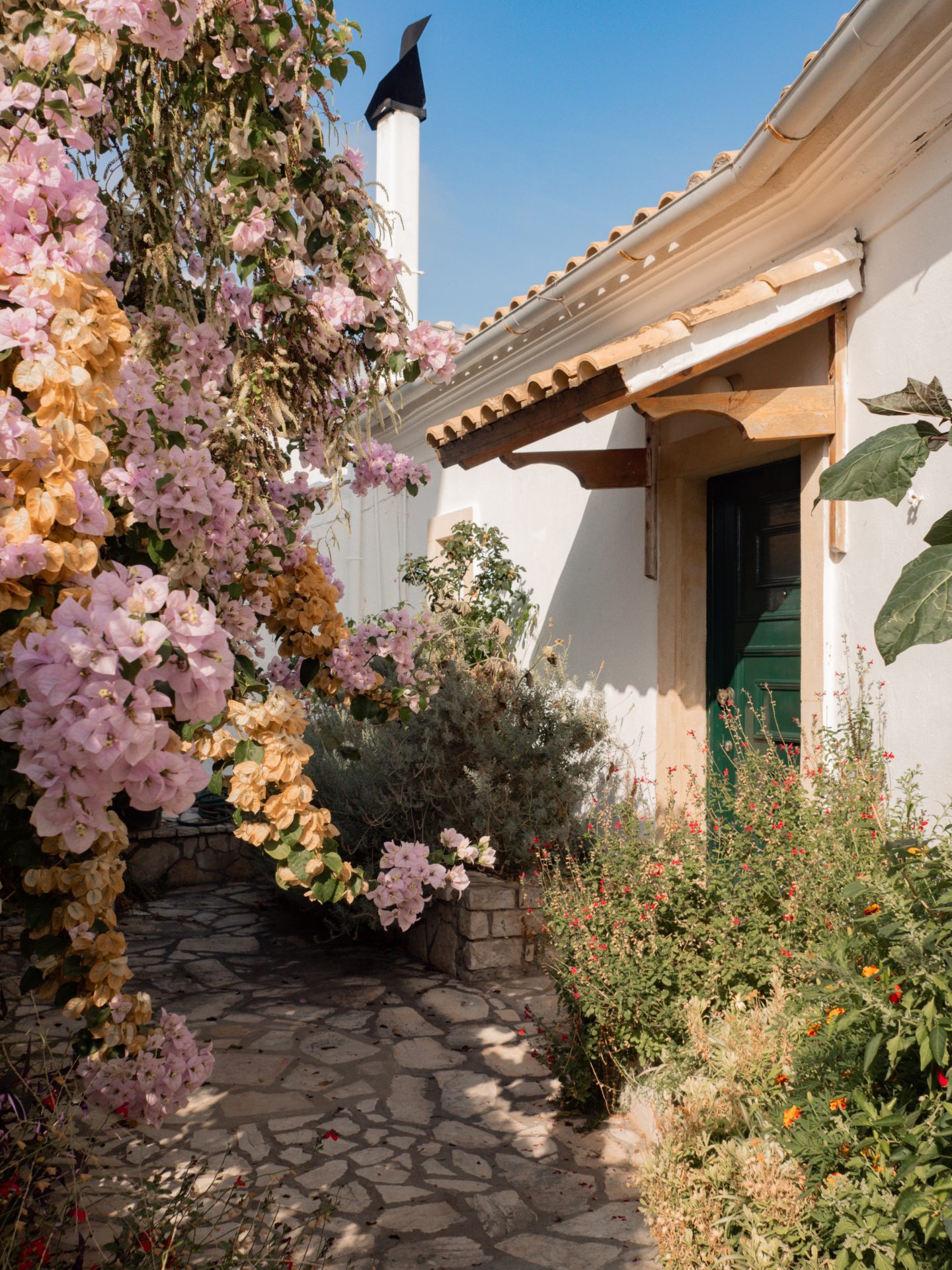 Corfu travel guide. Greek island garden.