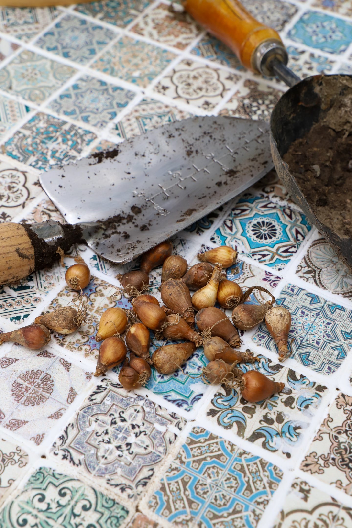 How to plant Spring bulbs.