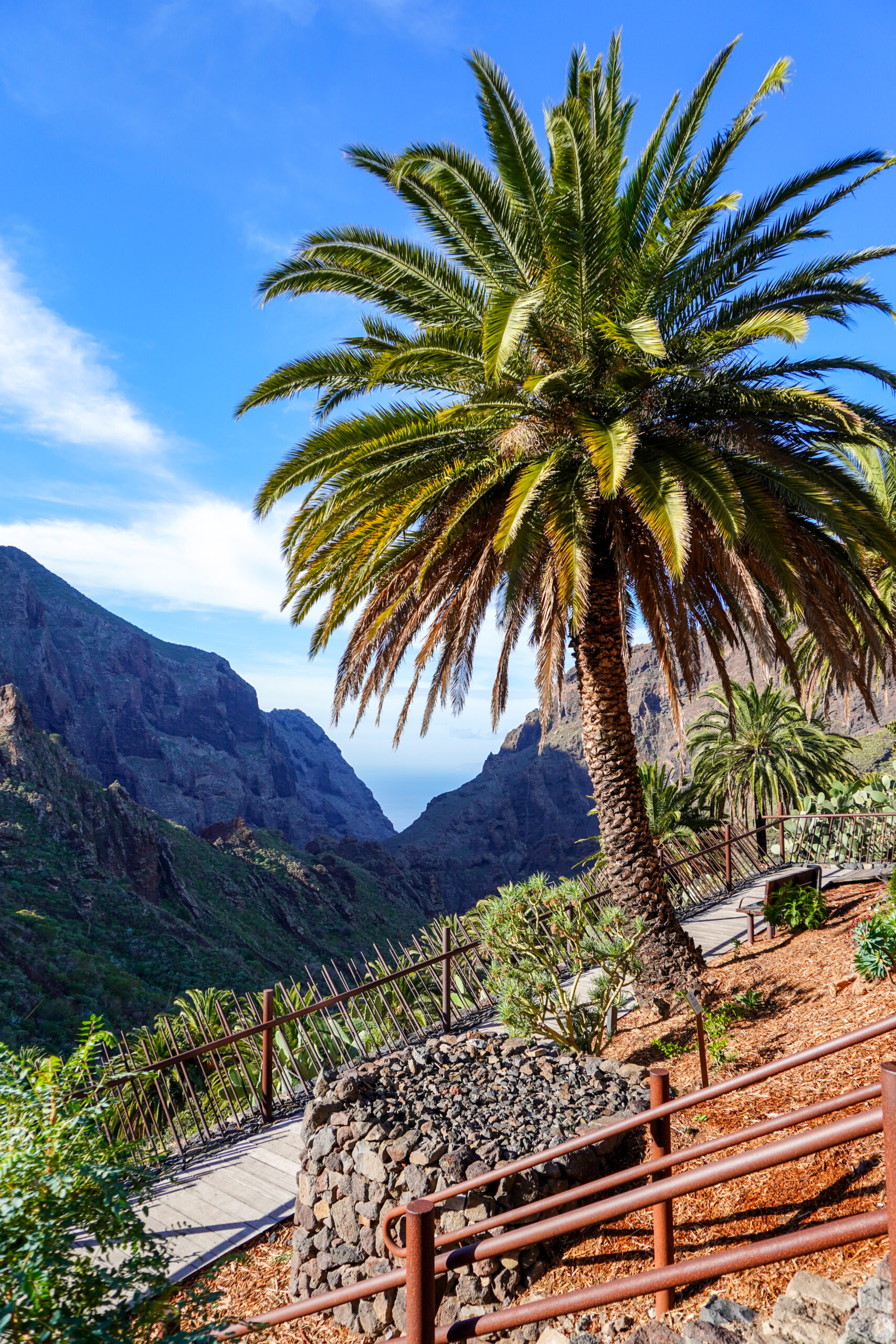 Masca, tenerife.