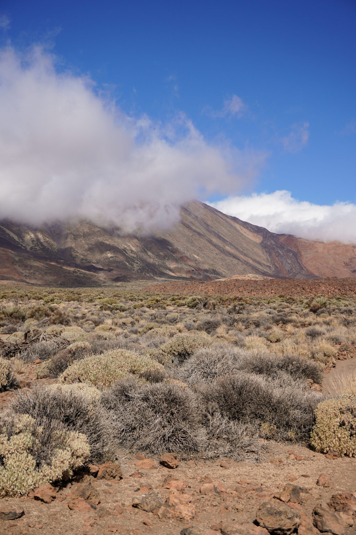 Mount Teide.