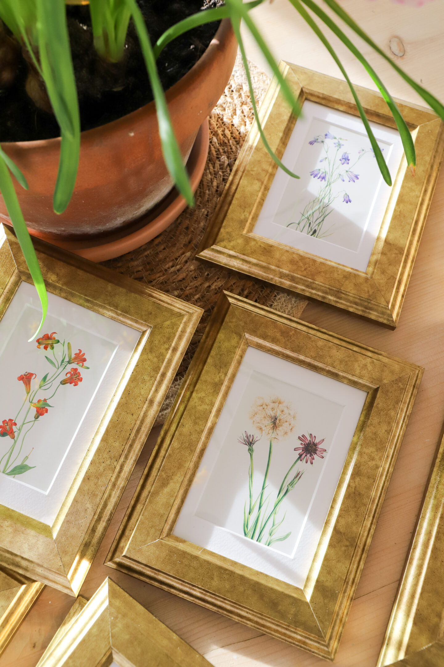 DIY gallery wall with gold frames floral prints.