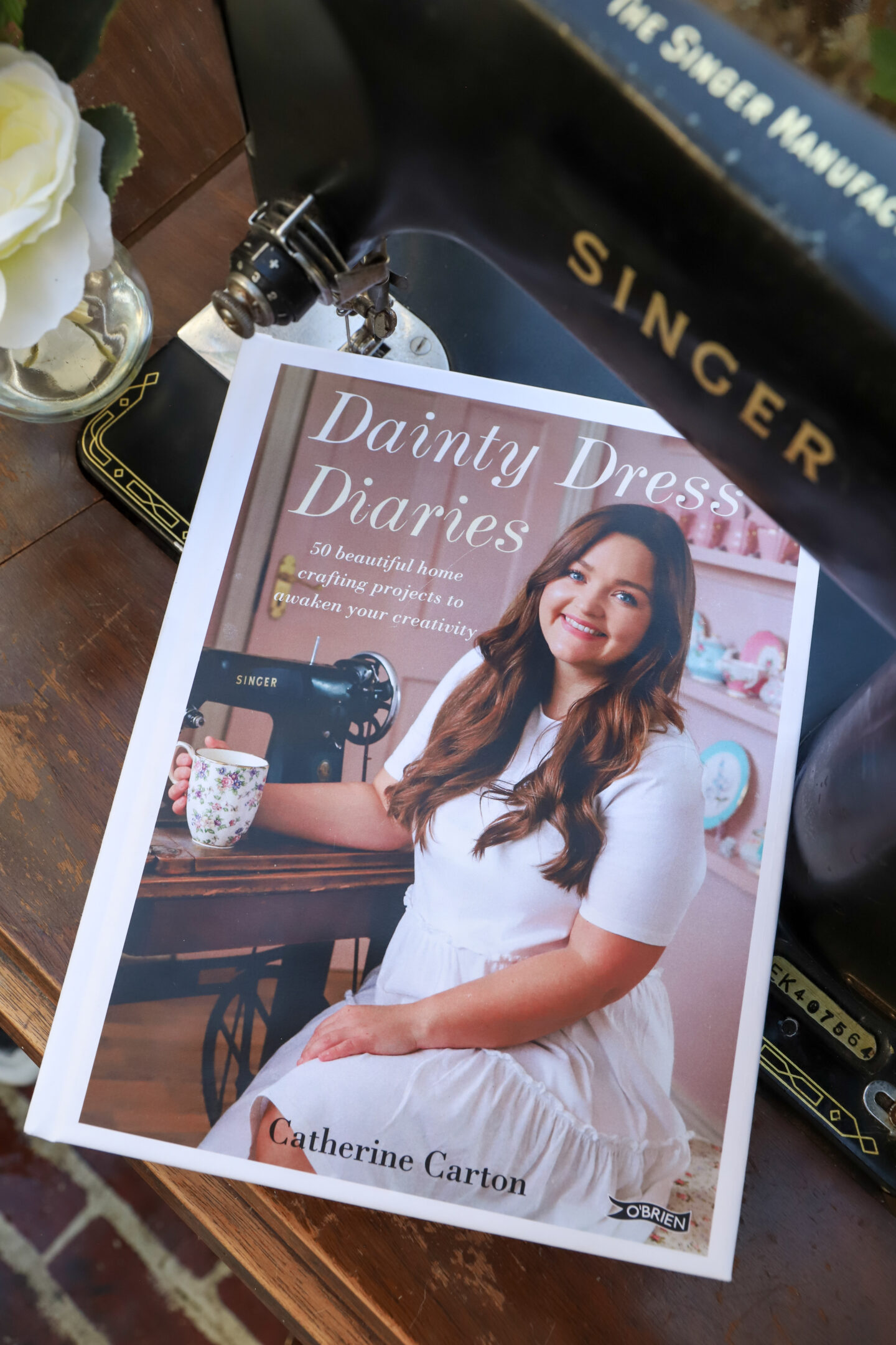 Dainty Dress Diaries book. Where to buy.