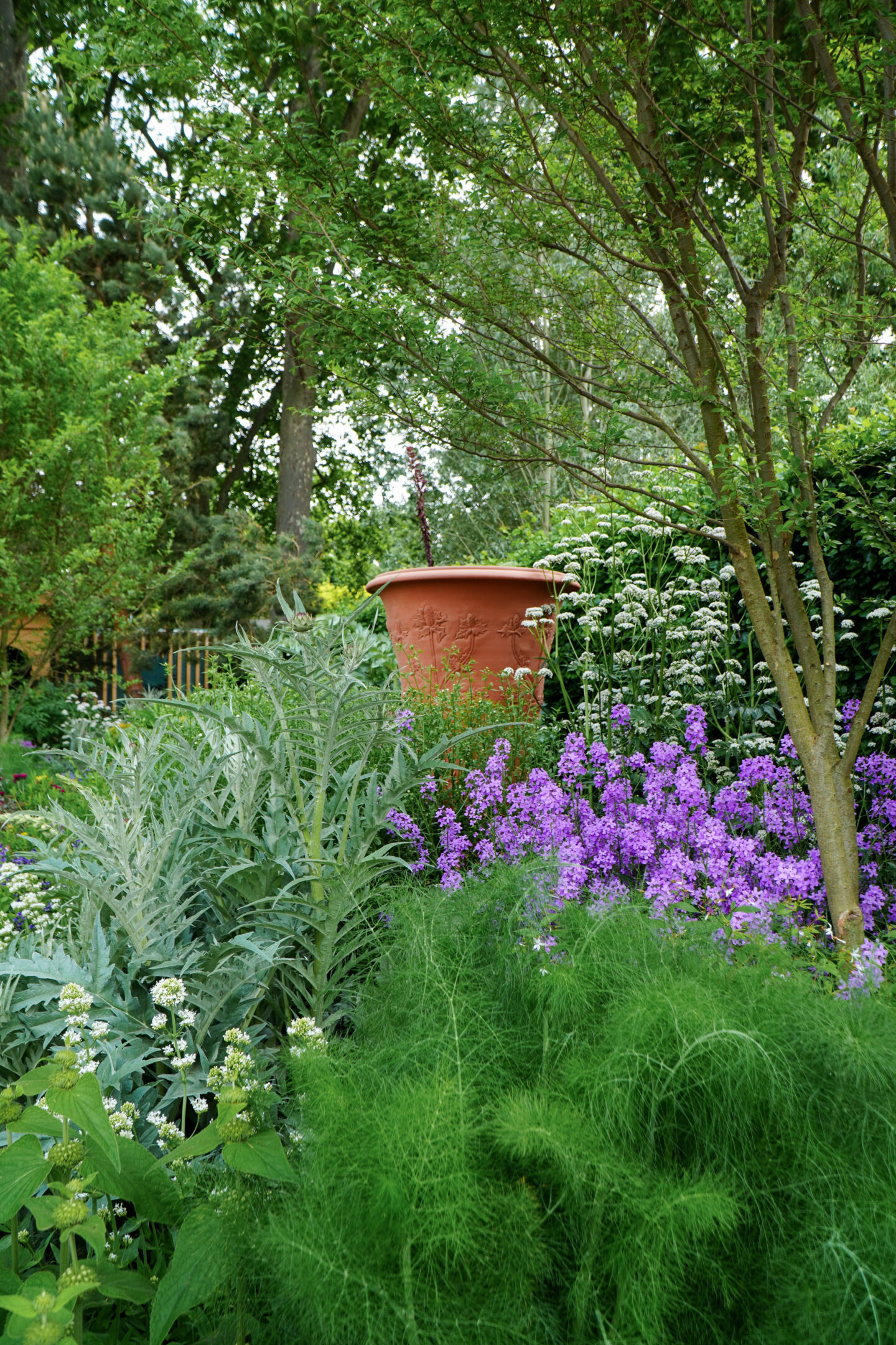 Terracotta pot in garden. 