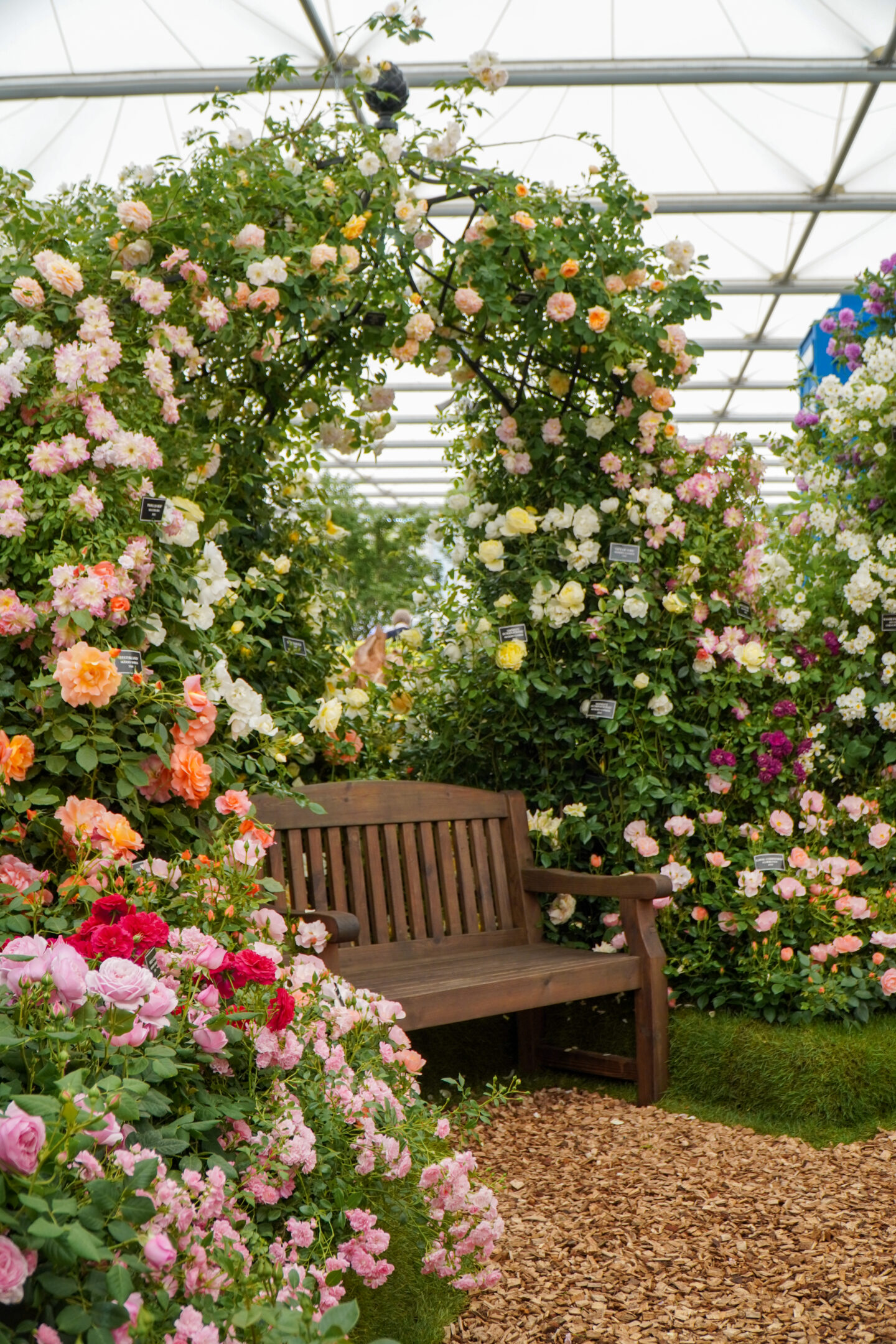 Floral rose arch. 