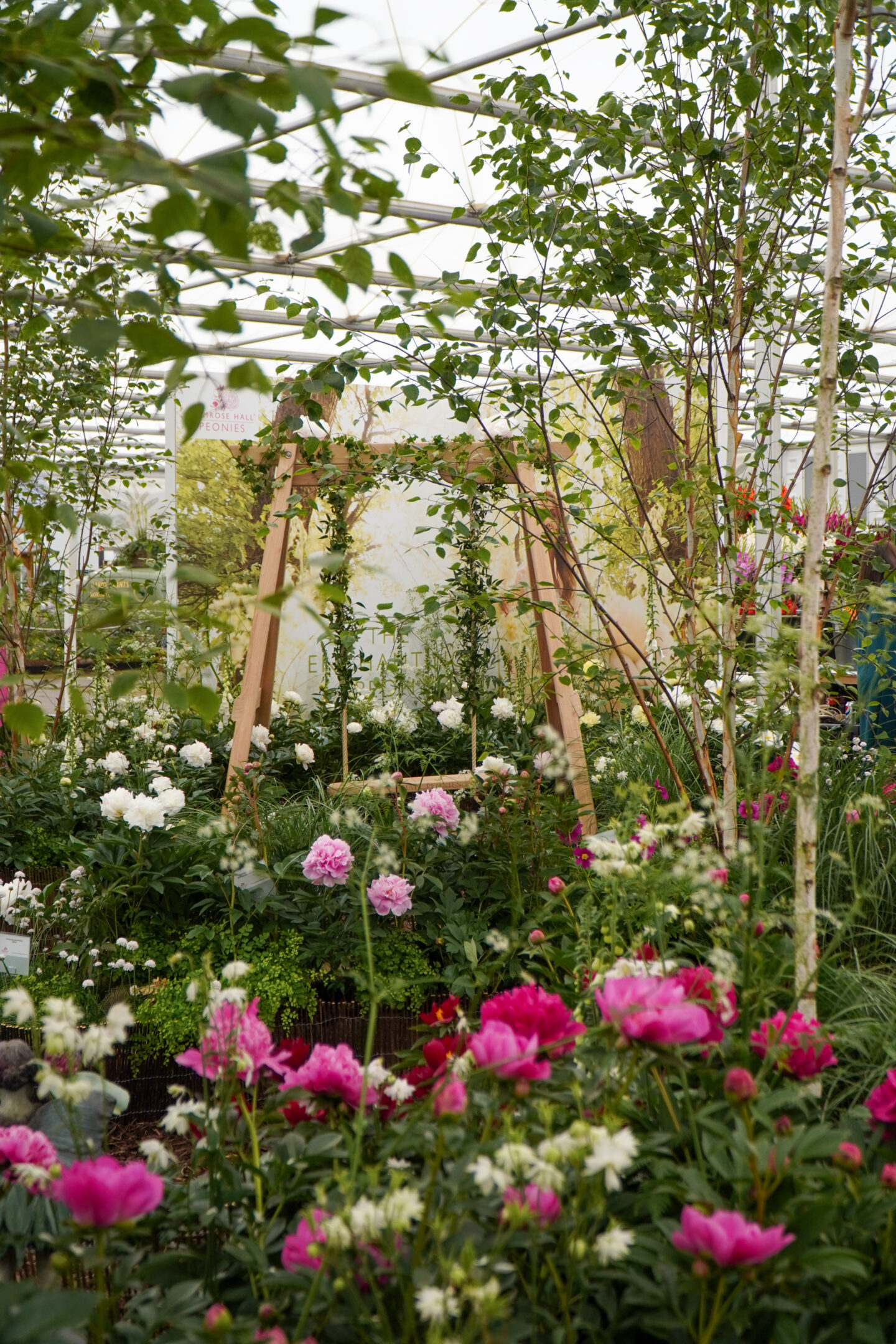 Rose and peonies display. RHS Chelsea Flower show.