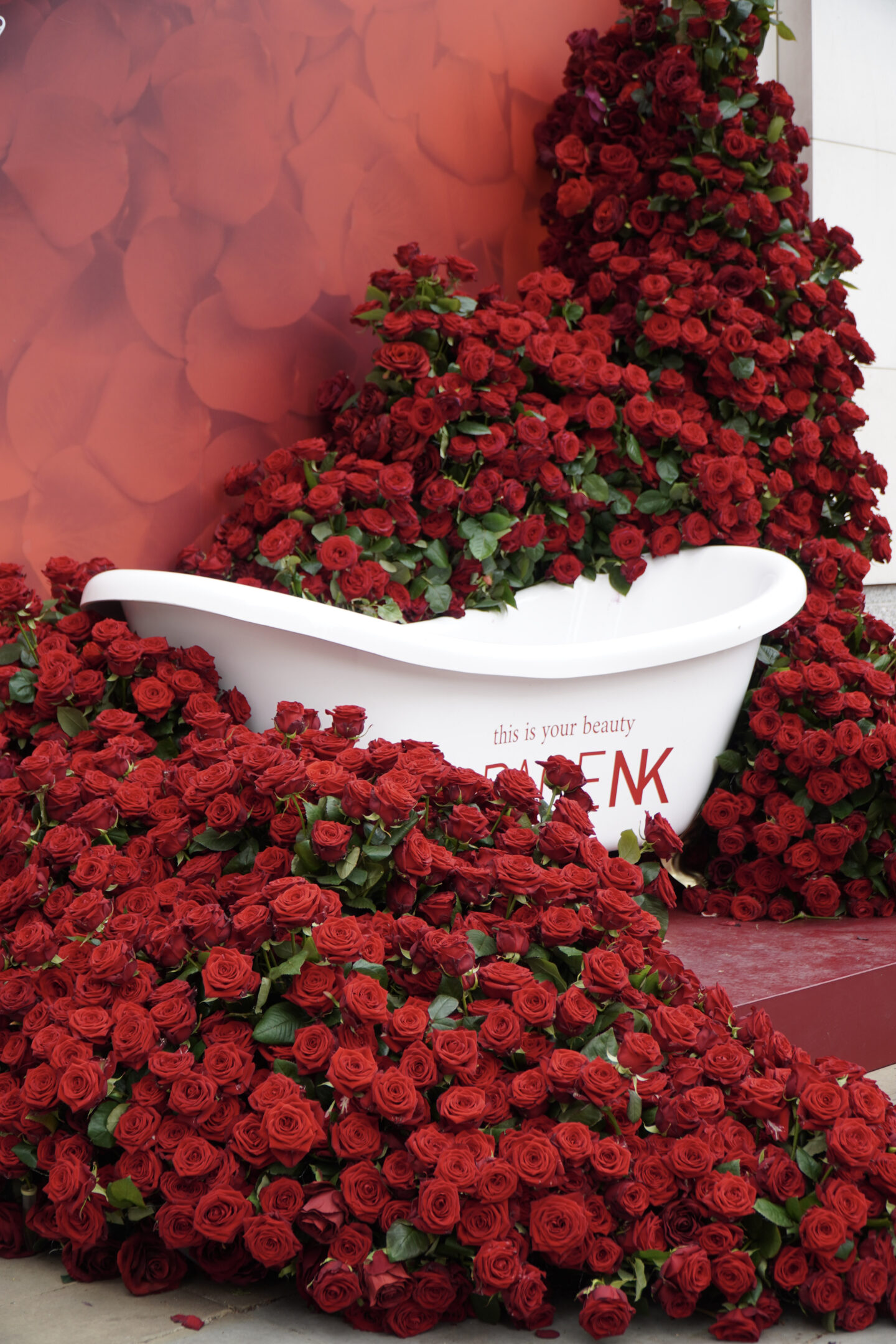 Roses