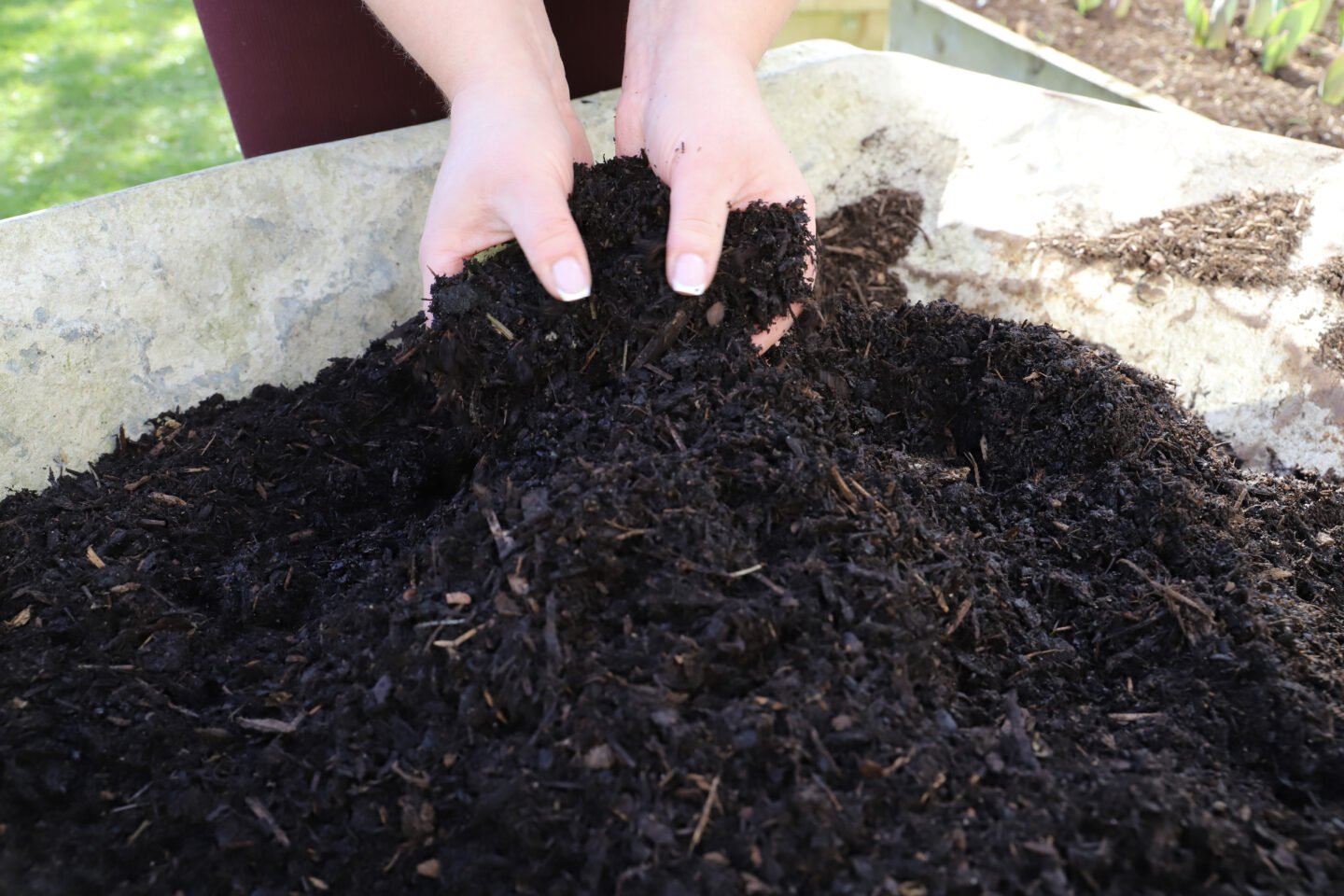 soil