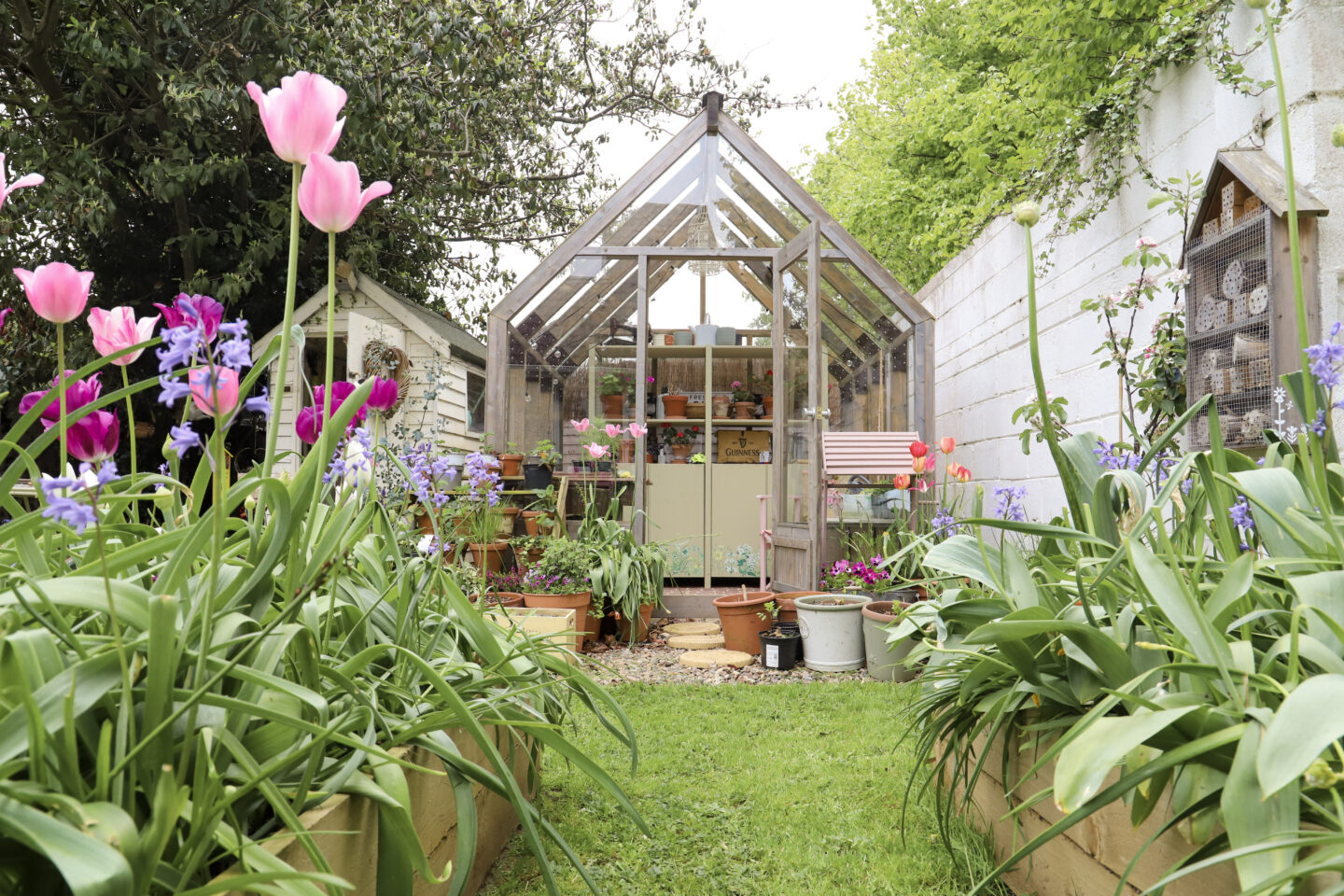 greenhouse