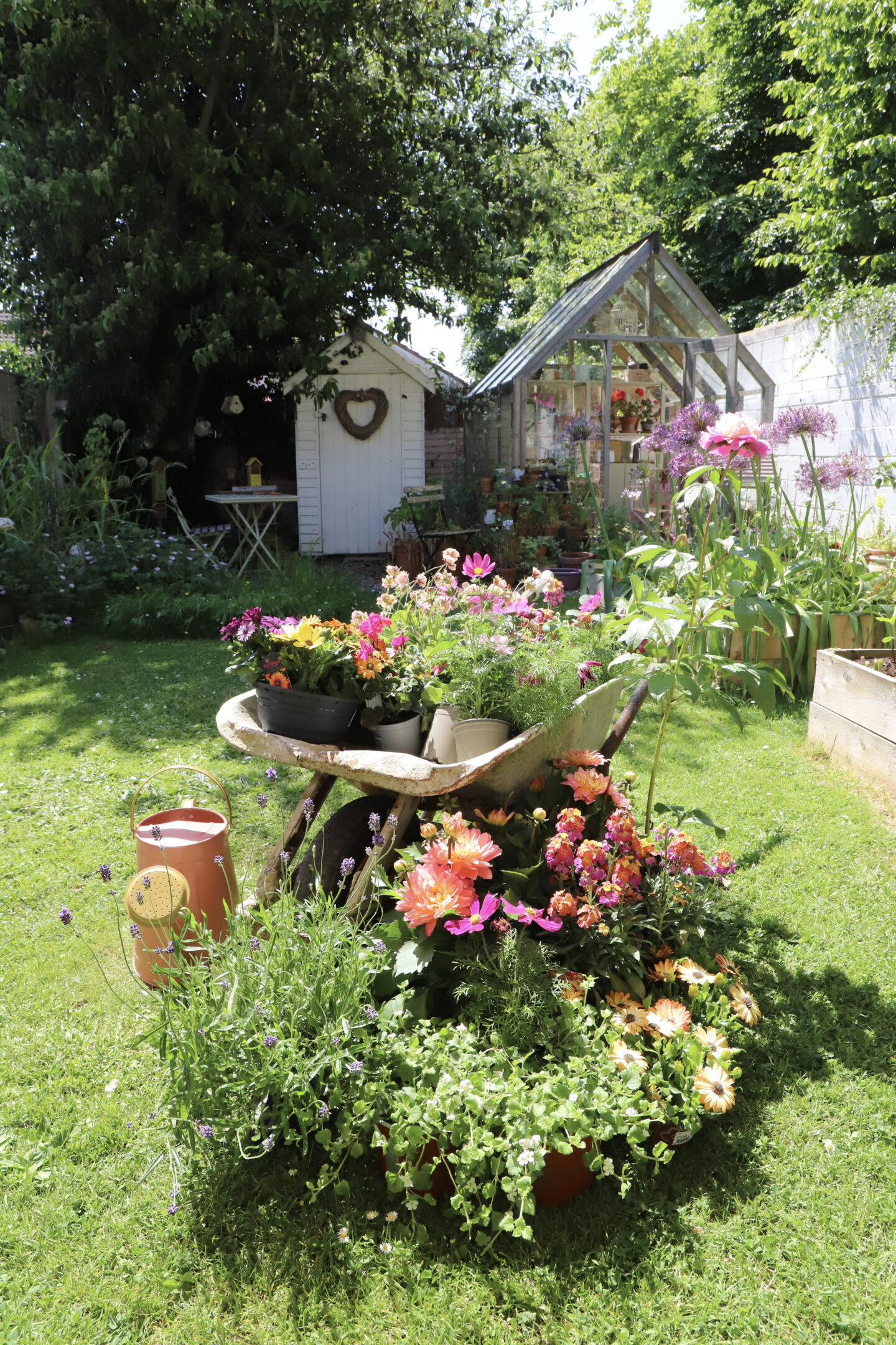 garden