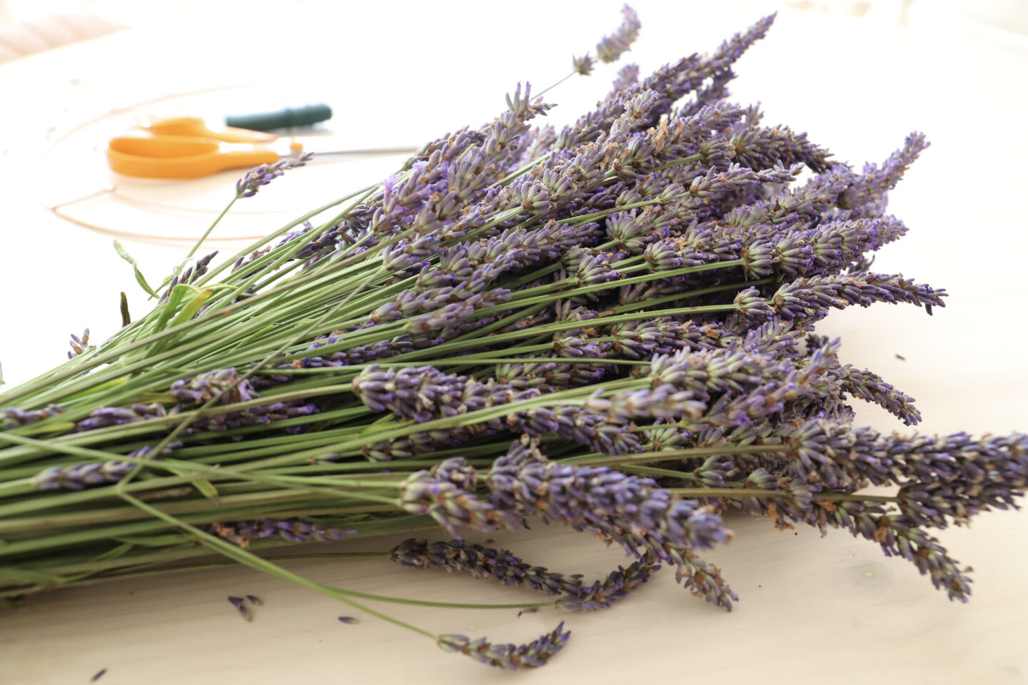 Making A Dried Lavender Wreath & Tips For Growing Lavender Dainty Dress Diaries