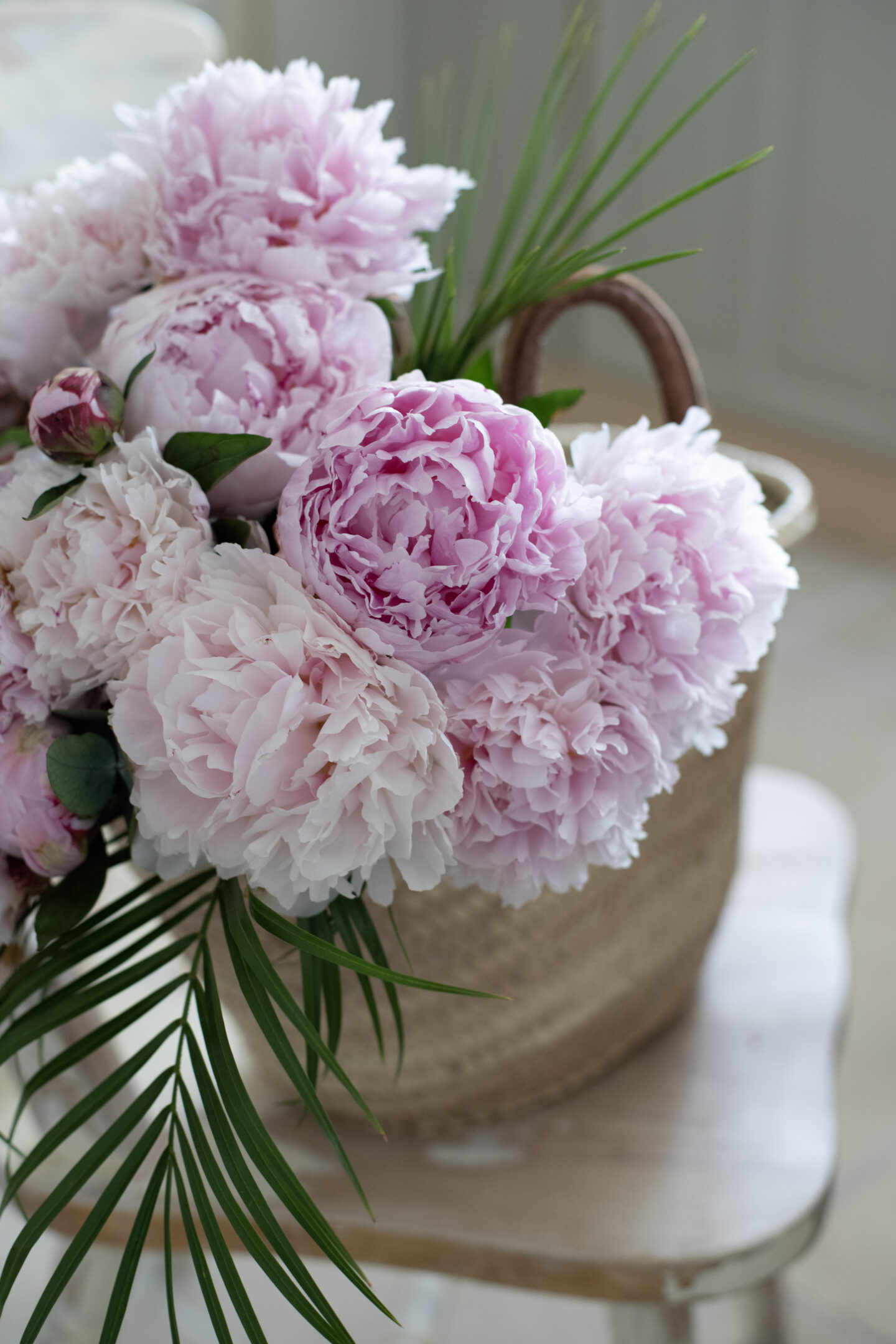 peonies
