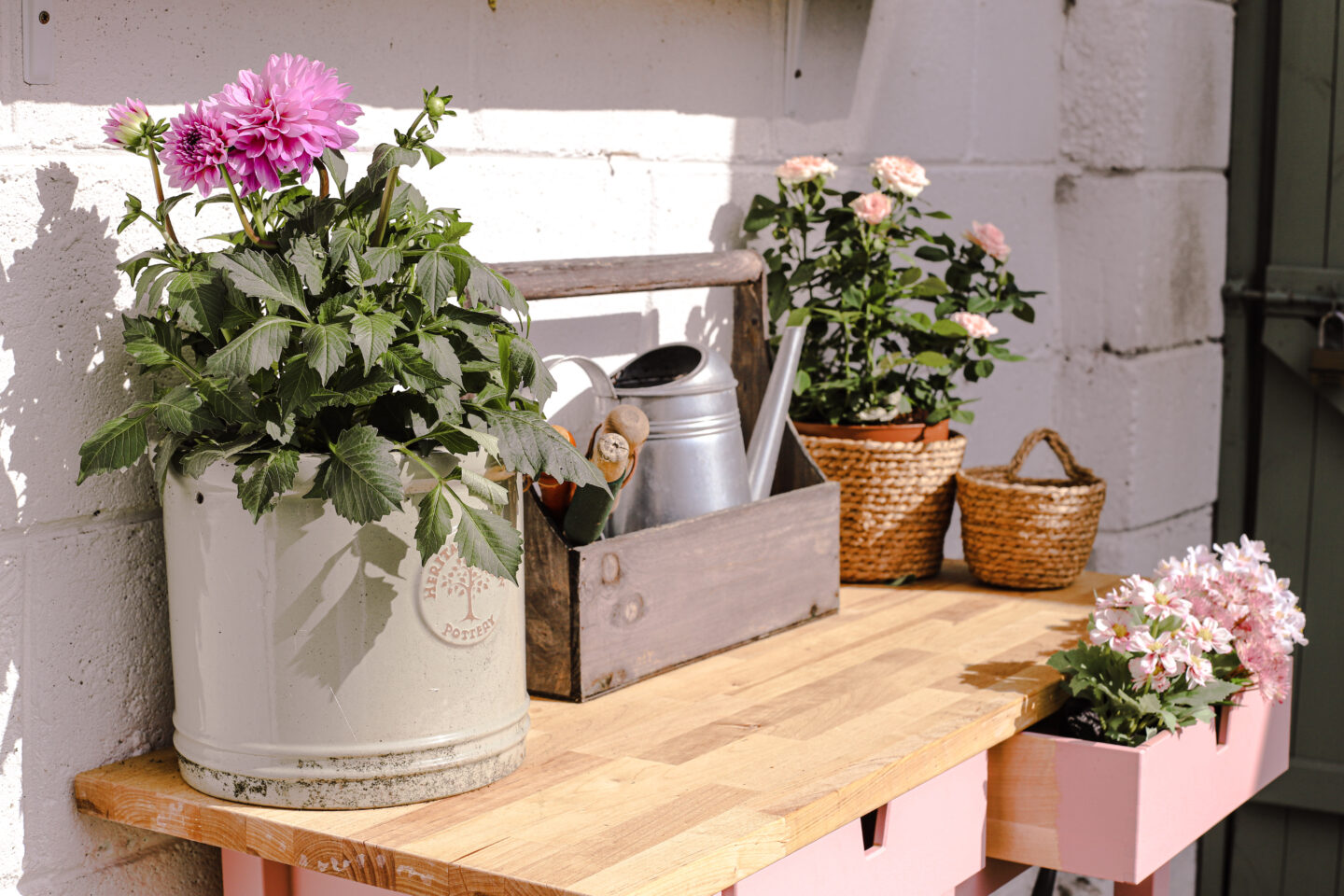 plants and flowers