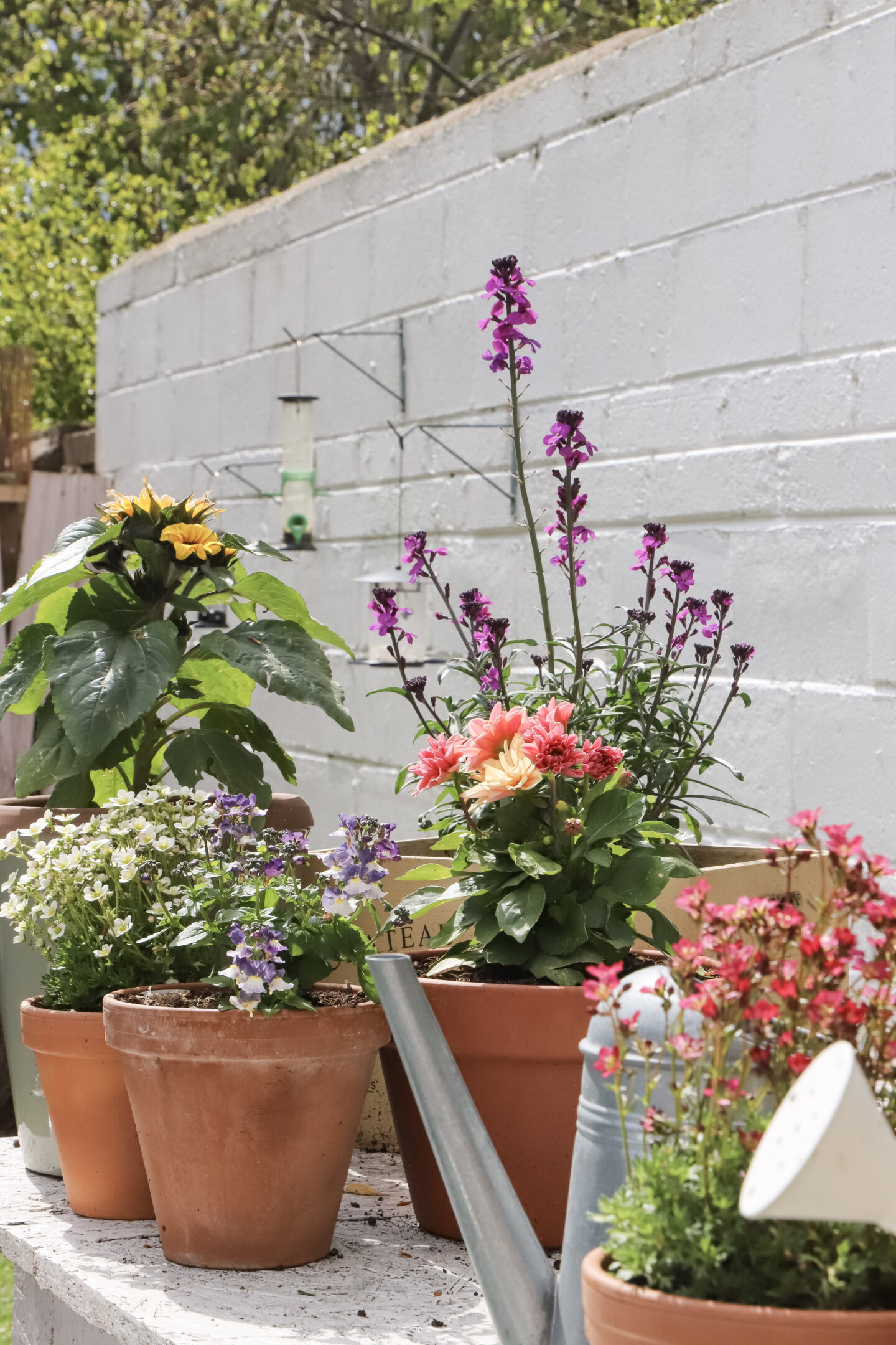 flower containers