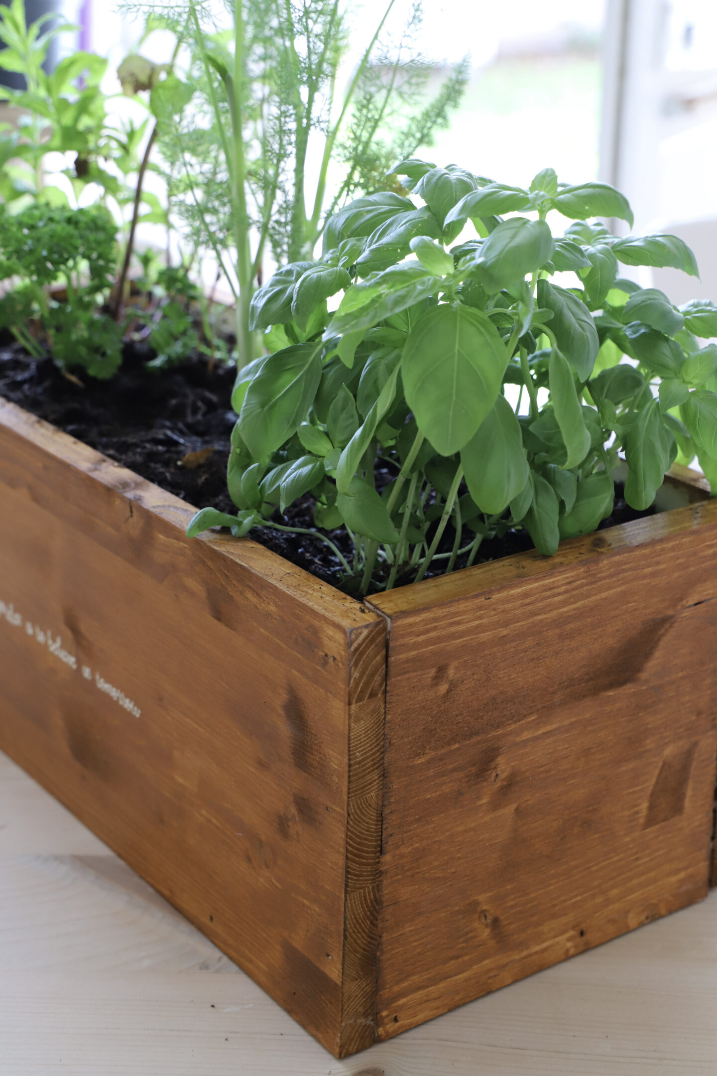 herbs