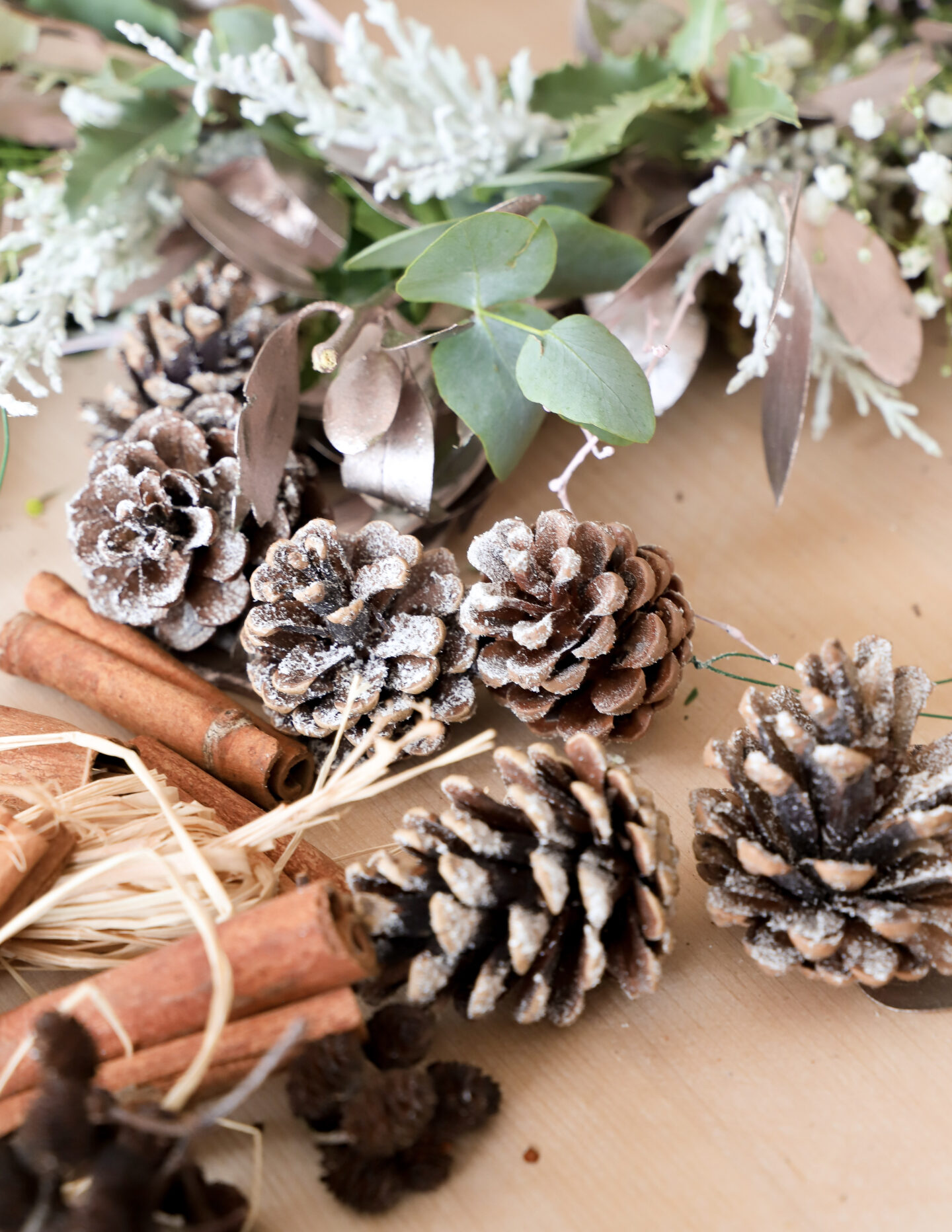 pinecones