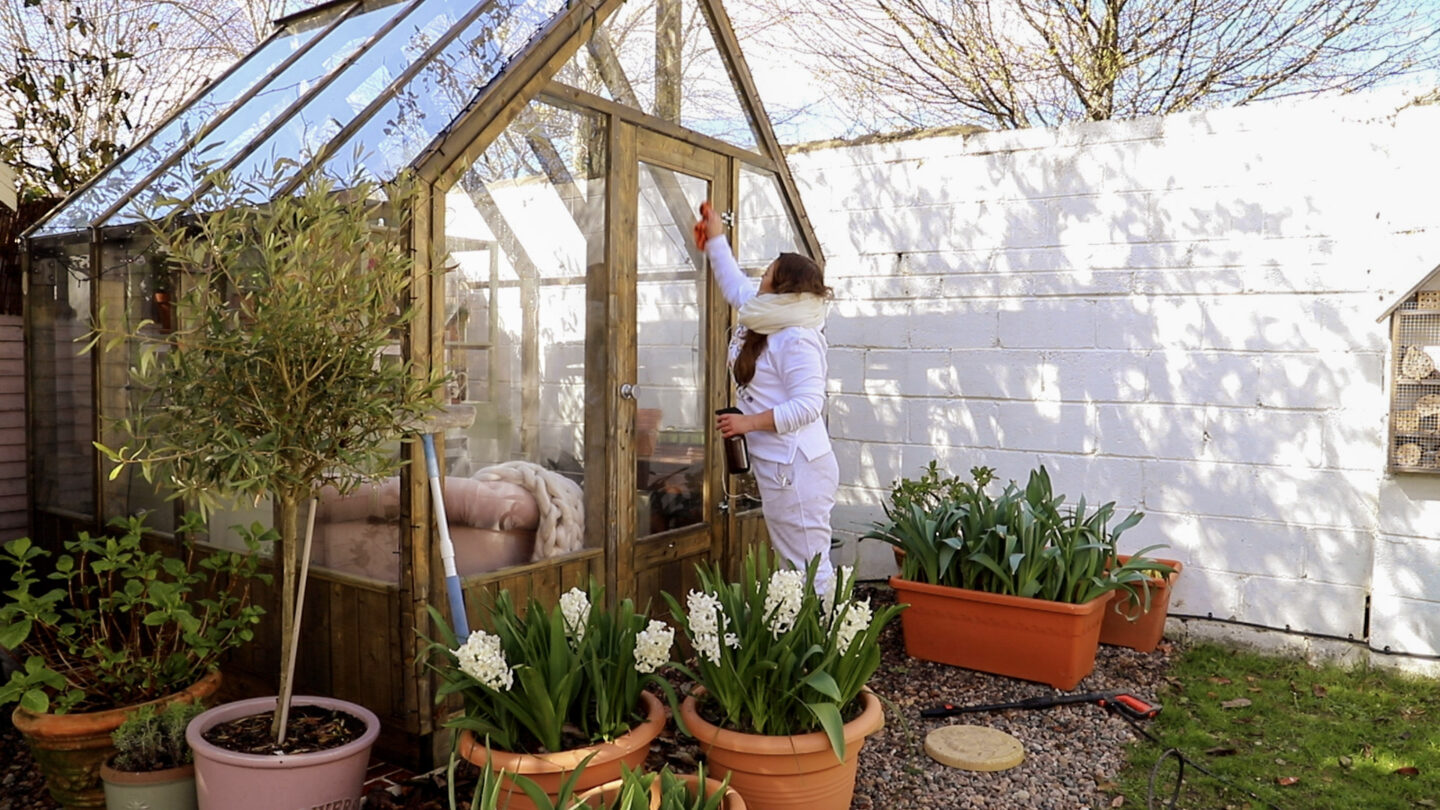 garden, greenhouse in autumn