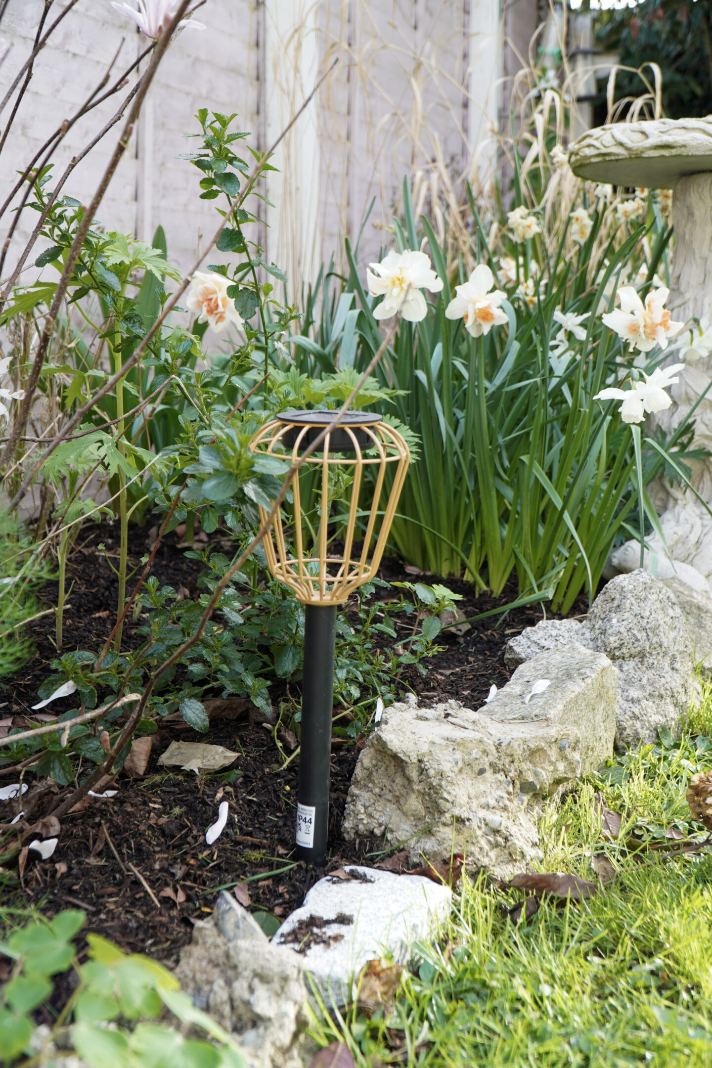 garden bed