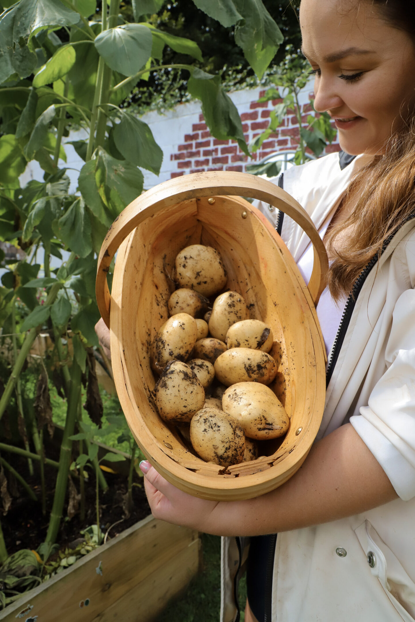 potatoes