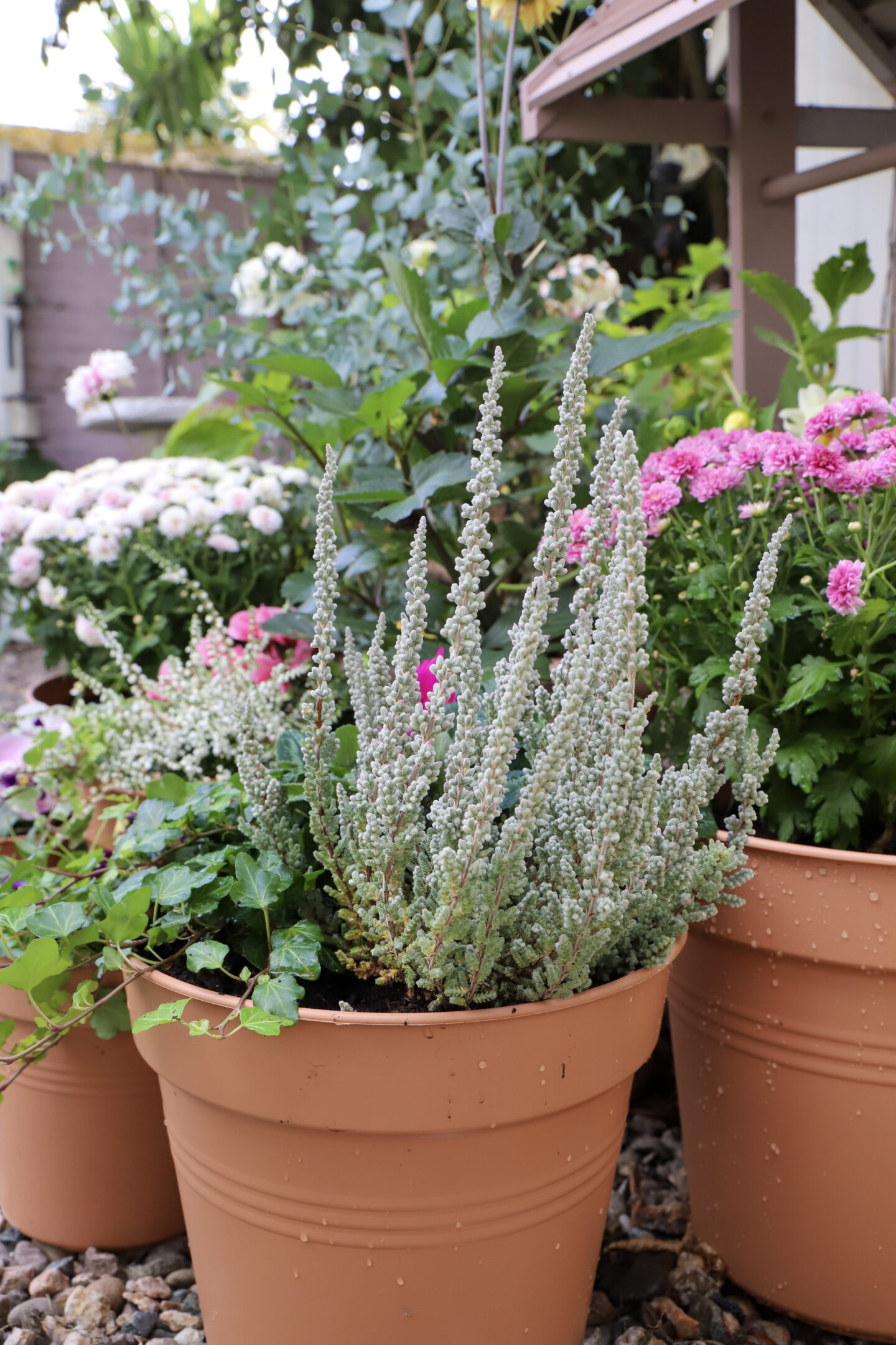 plant pot 